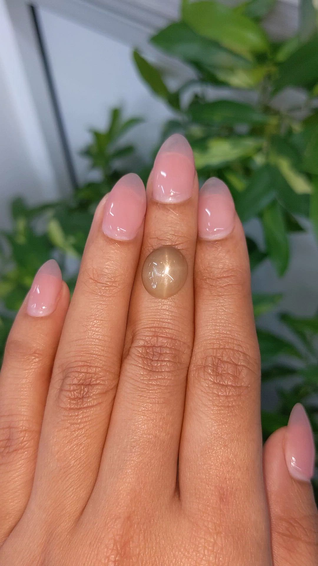 4.90 Ct. Brown Cabochon Moonstone from Ceylon (Sri Lanka) Size Video