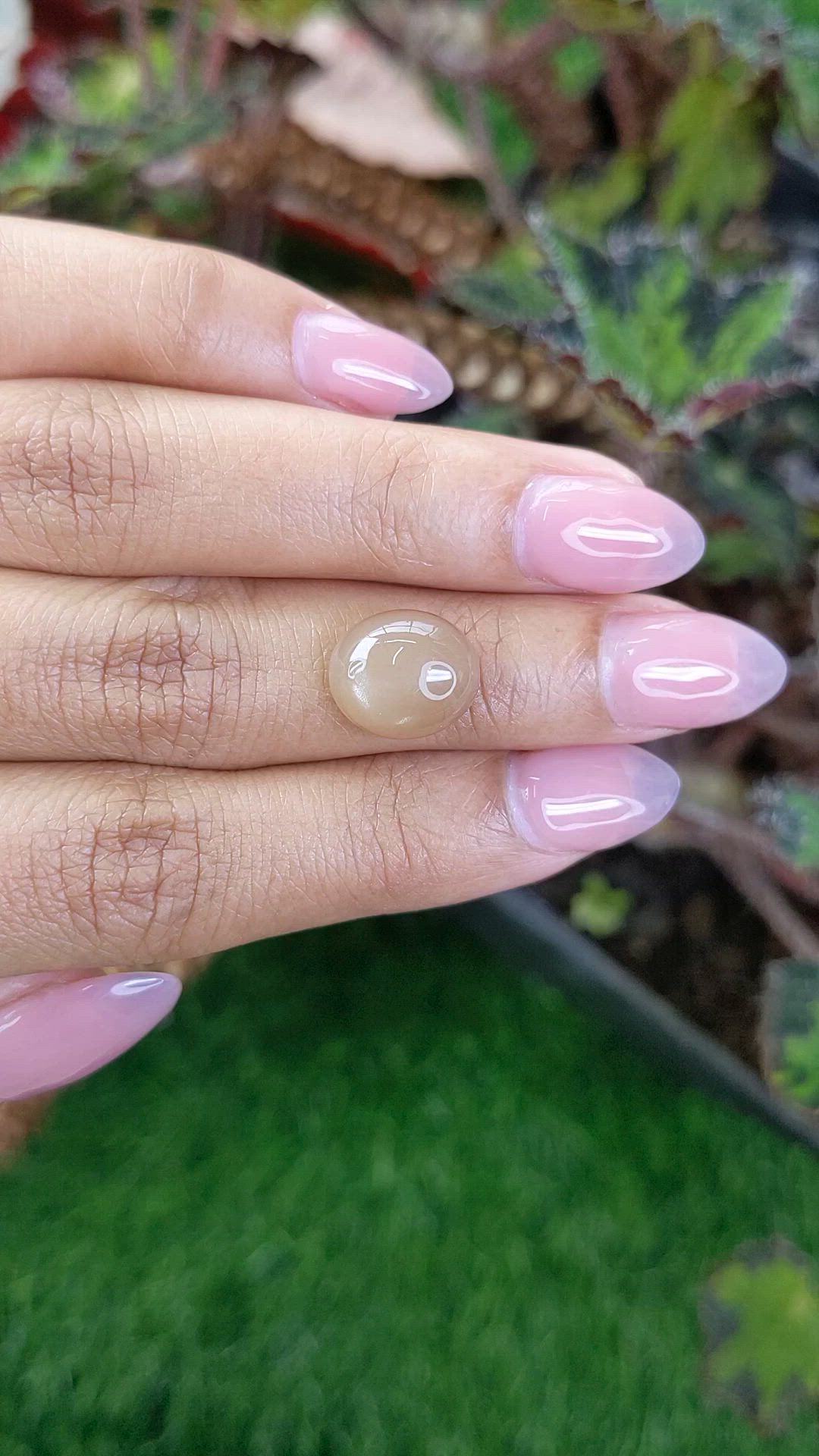 4.90 Ct. Brown Cabochon Moonstone from Ceylon (Sri Lanka) Size Video
