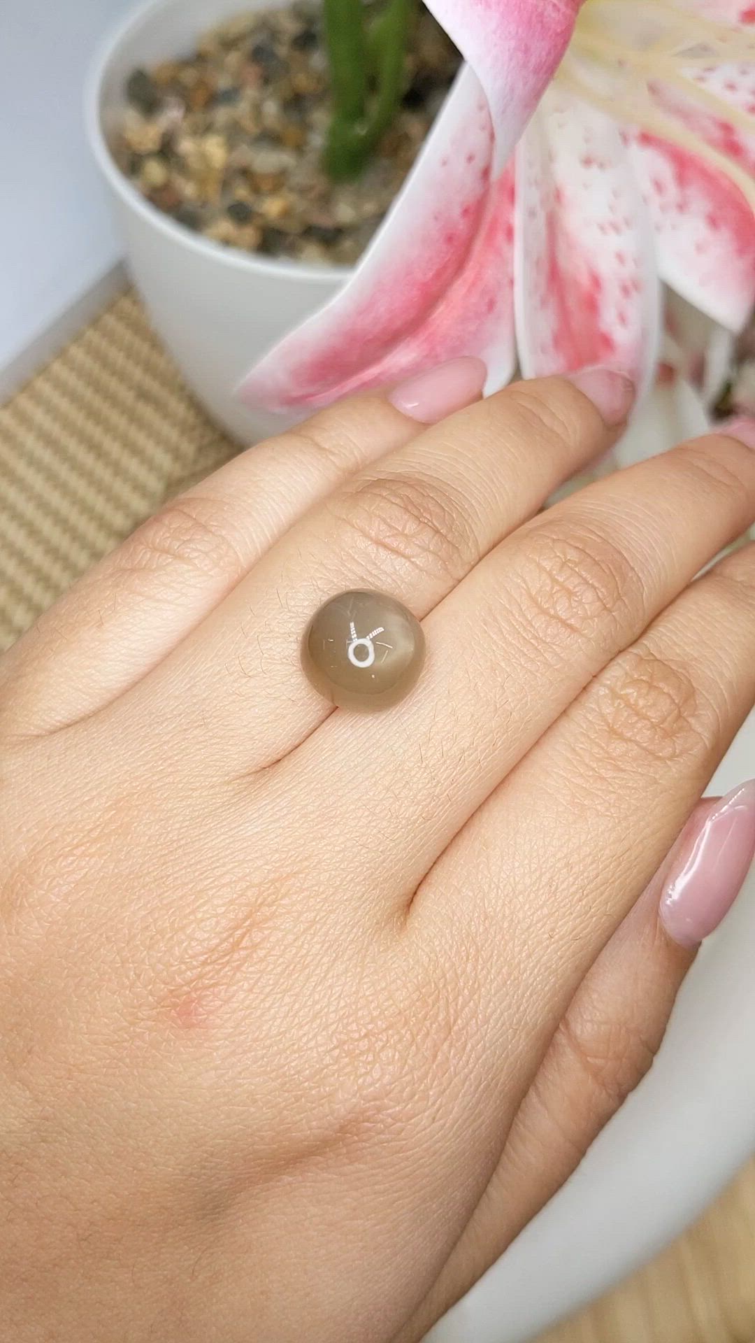 6.82 Ct. Brown Cabochon Moonstone from Ceylon (Sri Lanka) Size Video