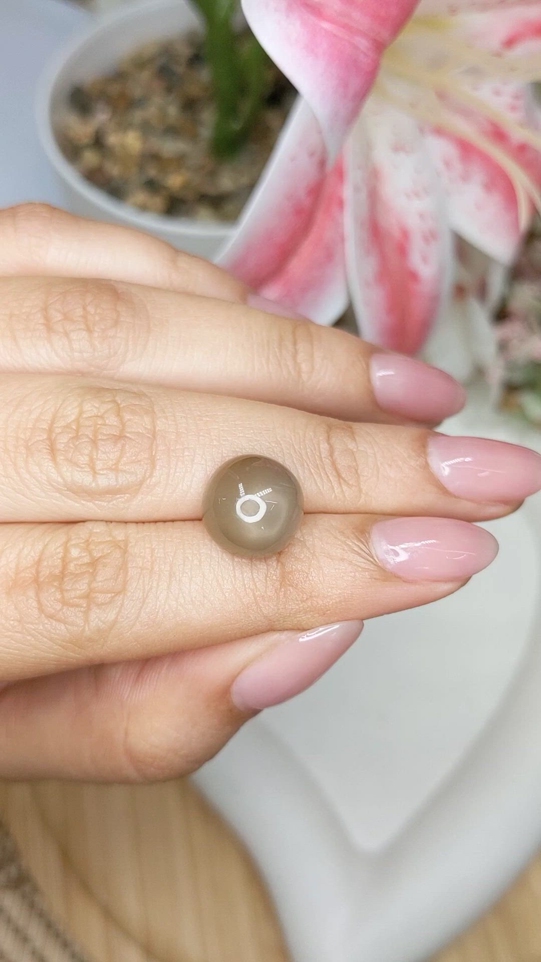 6.82 Ct. Brown Cabochon Moonstone from Ceylon (Sri Lanka) Size Video