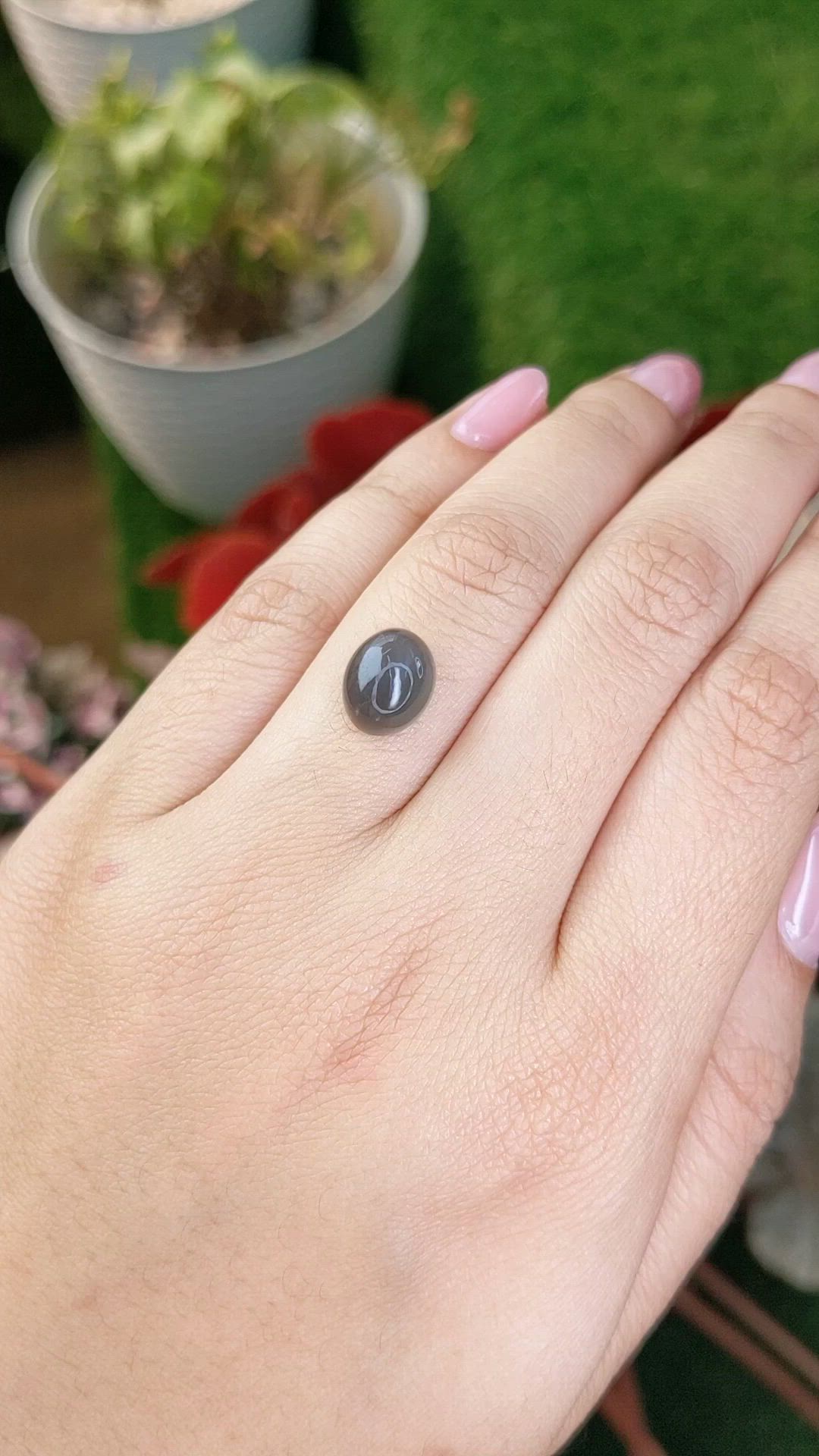 3.63 Ct. Grey Cabochon Moonstone from Ceylon (Sri Lanka) Size Video