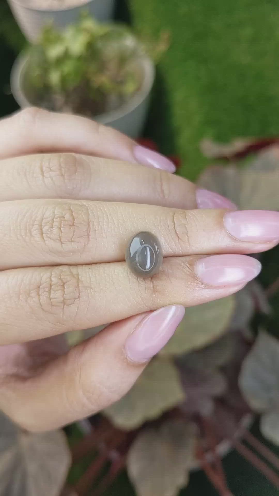 4.44 Ct. Brown Cabochon Moonstone from Ceylon (Sri Lanka) Size Video