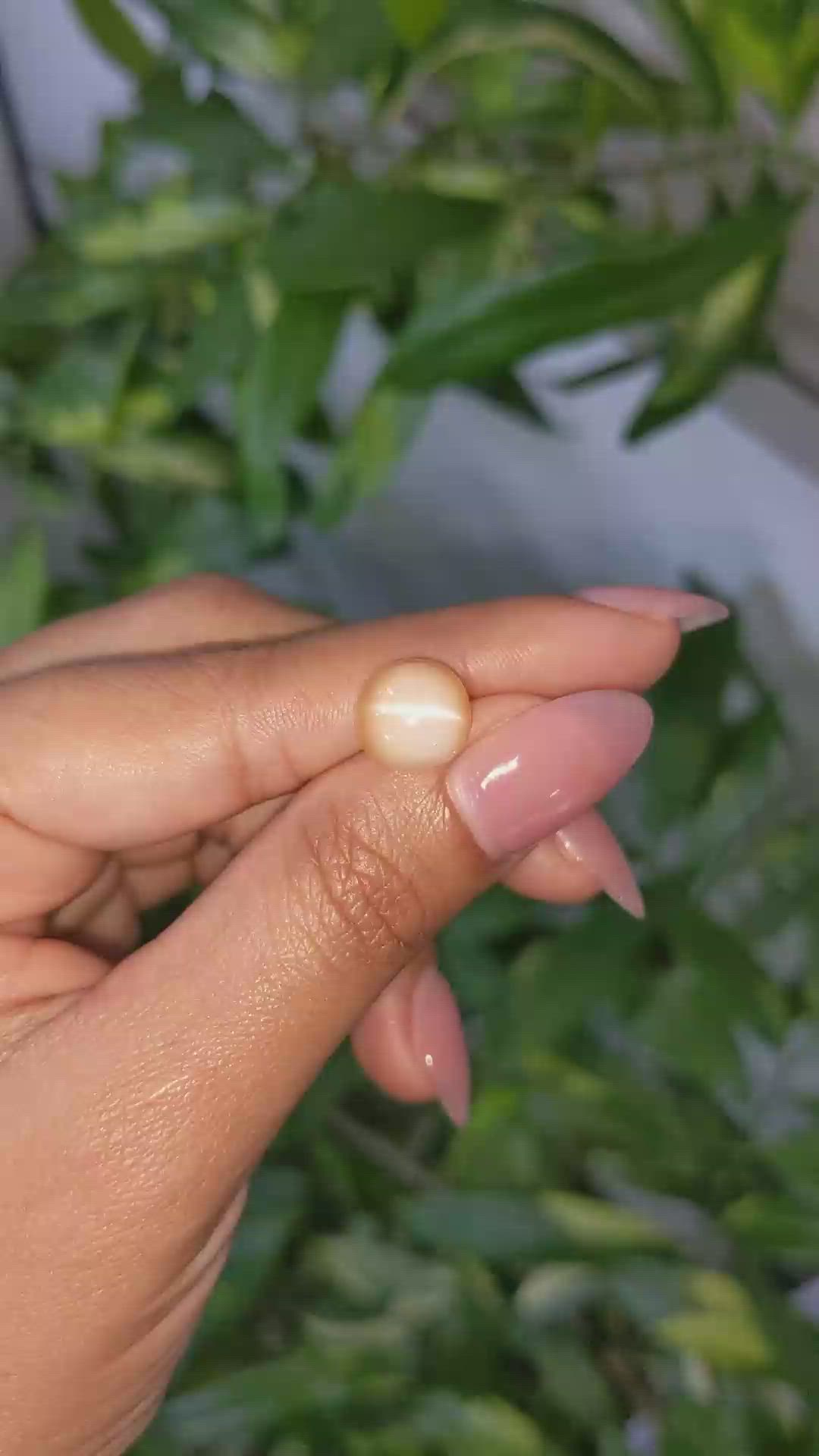 5.84 Ct. Peach Cabochon Moonstone from Ceylon (Sri Lanka) Size Video