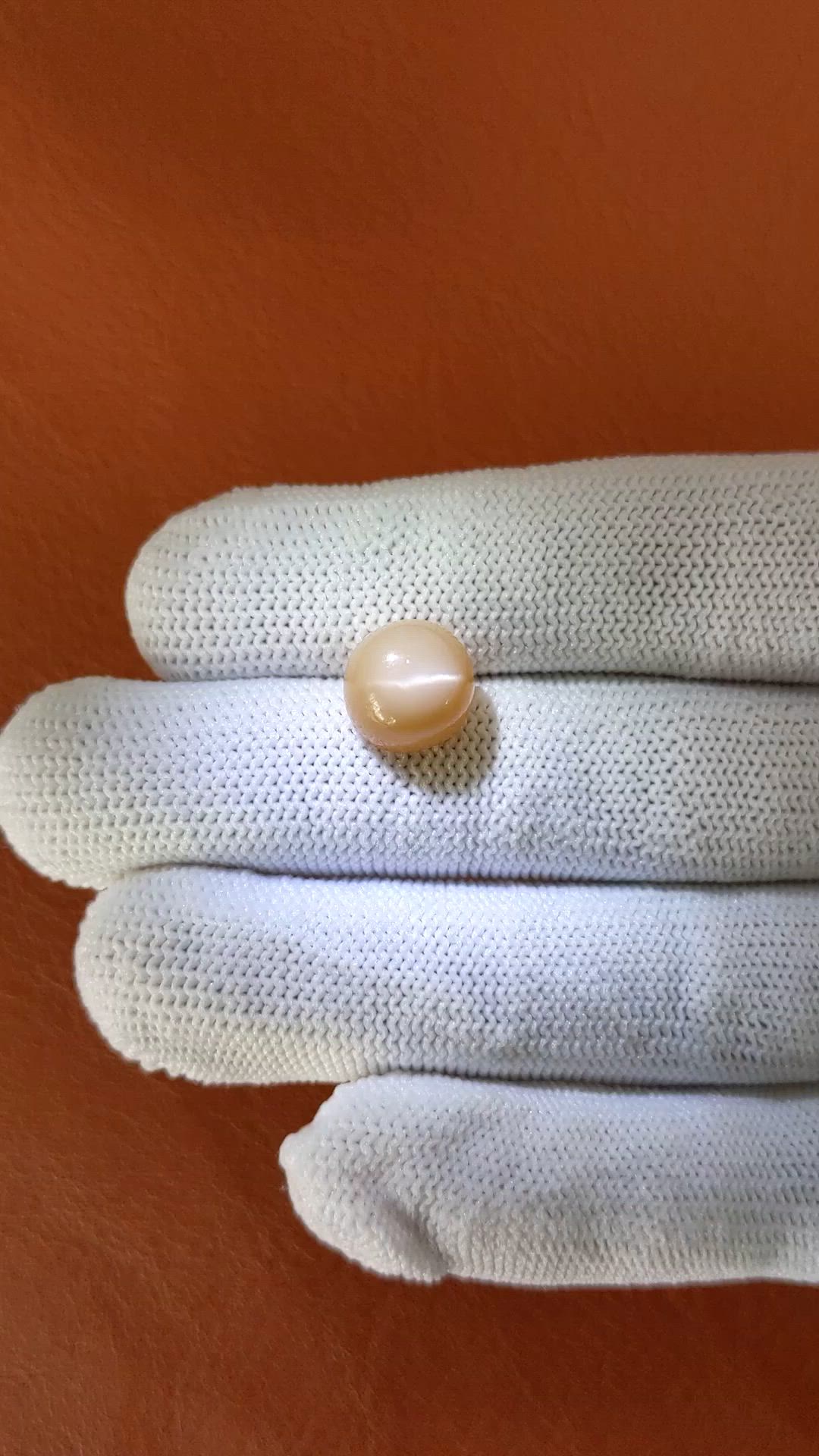 5.84 Ct. Peach Cabochon Moonstone from Ceylon (Sri Lanka) Size Video