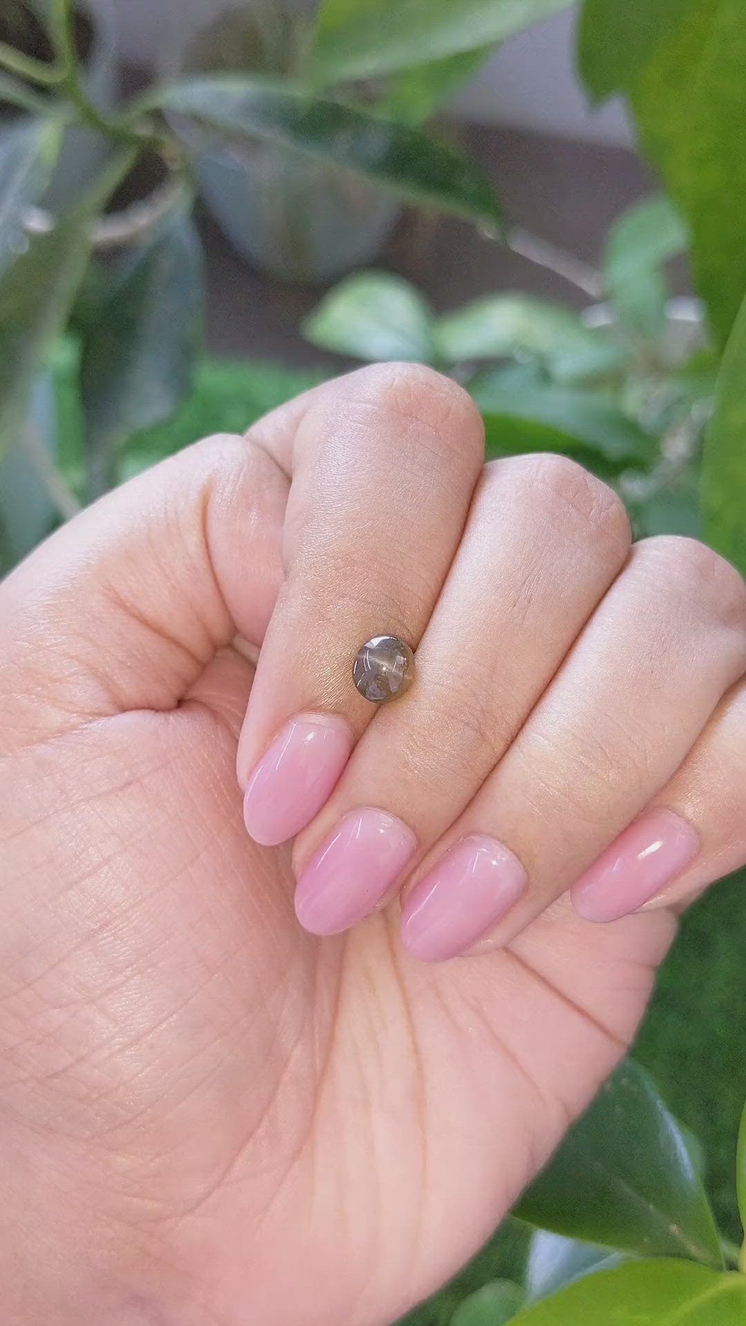 1.50 Ct. Brown Cabochon Cat’s Eye Chrysoberyl from Ceylon (Sri Lanka) Size Video