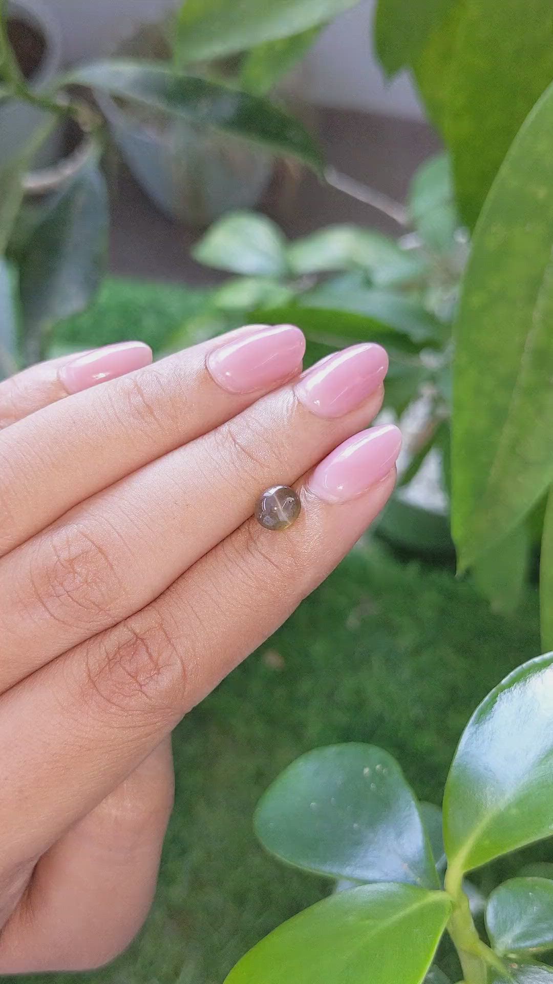 1.50 Ct. Brown Cabochon Cat’s Eye Chrysoberyl from Ceylon (Sri Lanka) Size Video