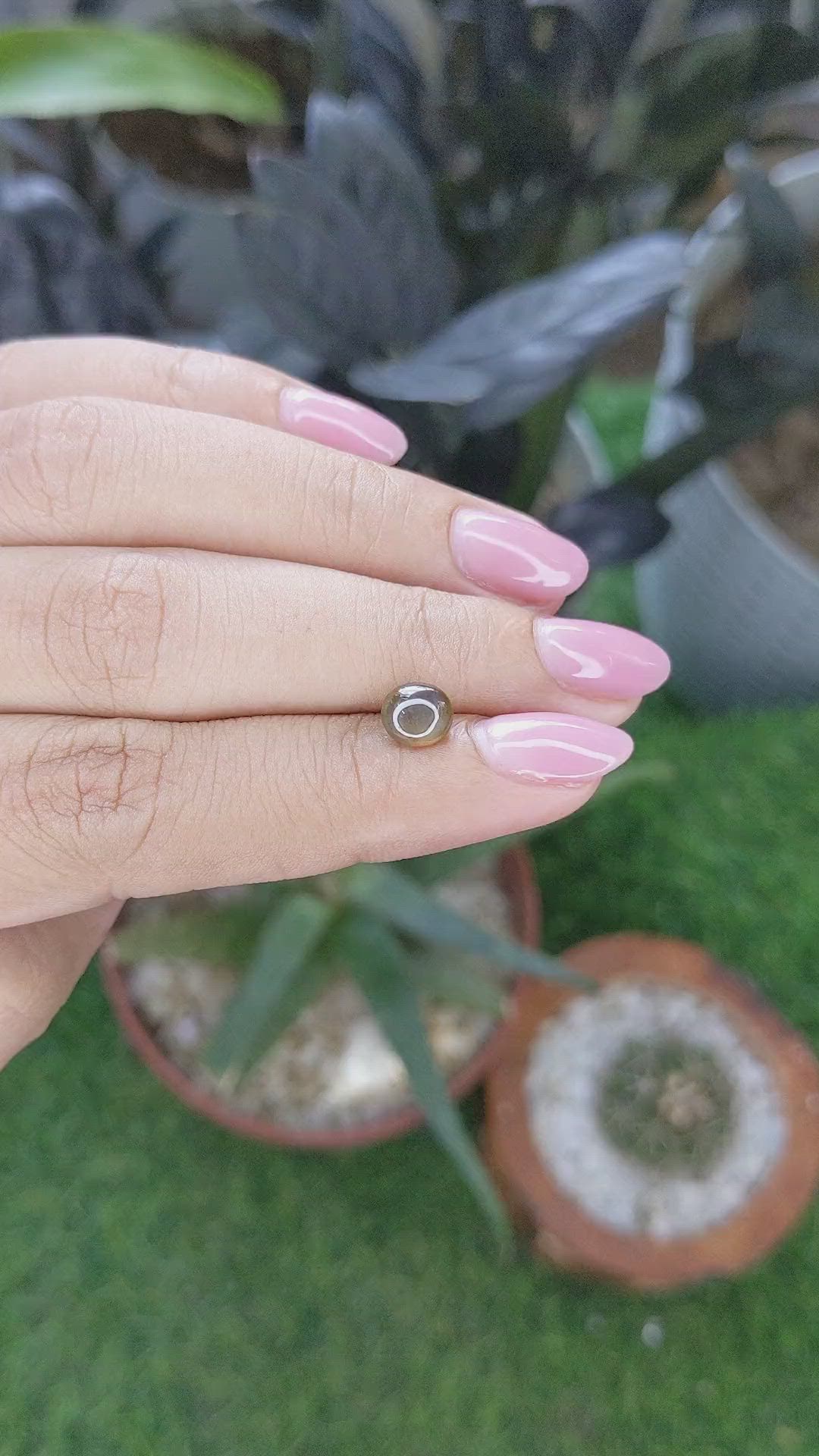 1.50 Ct. Brown Cabochon Cat’s Eye Chrysoberyl from Ceylon (Sri Lanka) Size Video