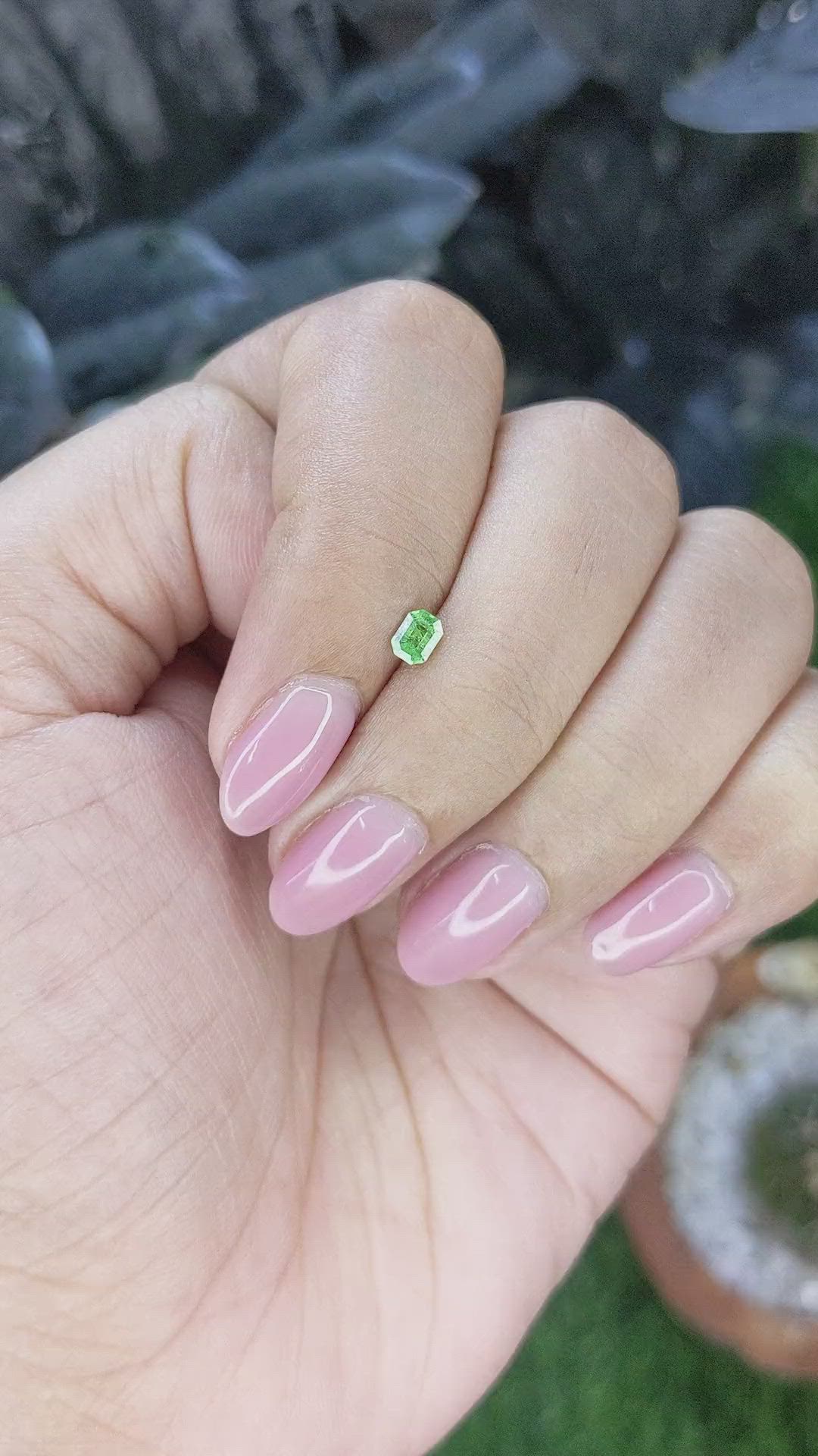 0.24 Ct. Tsavorite Garnet from Tanzania Size Video