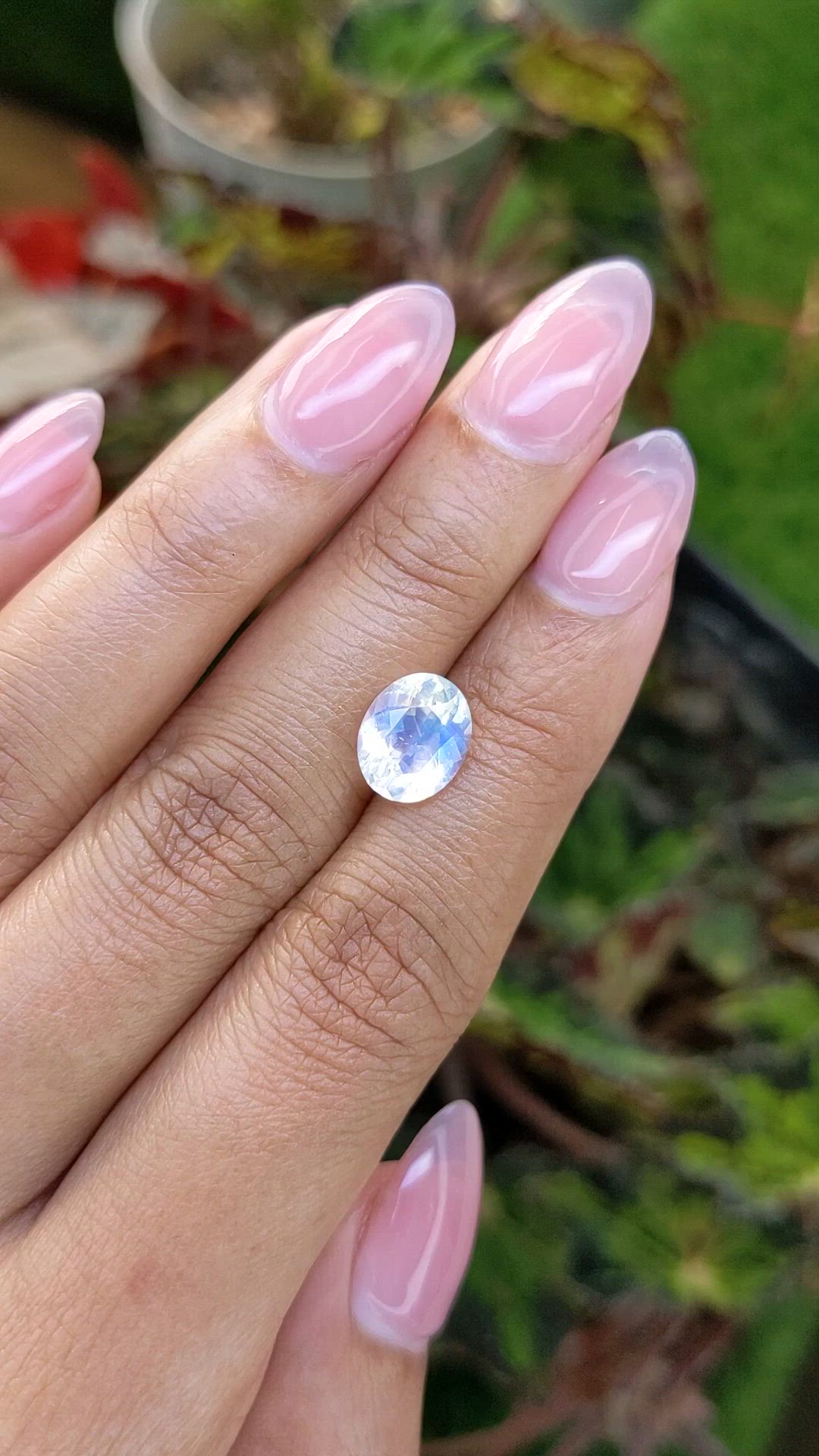 2.25 Ct. Rainbow Moonstone from Ceylon (Sri Lanka) Size Video