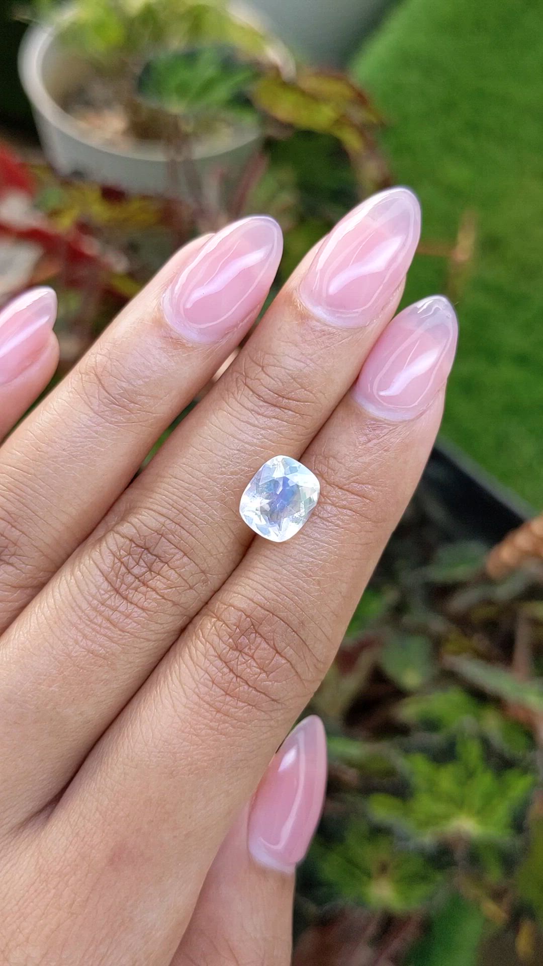 2.31 Ct. Rainbow Moonstone from Ceylon (Sri Lanka) Size Video