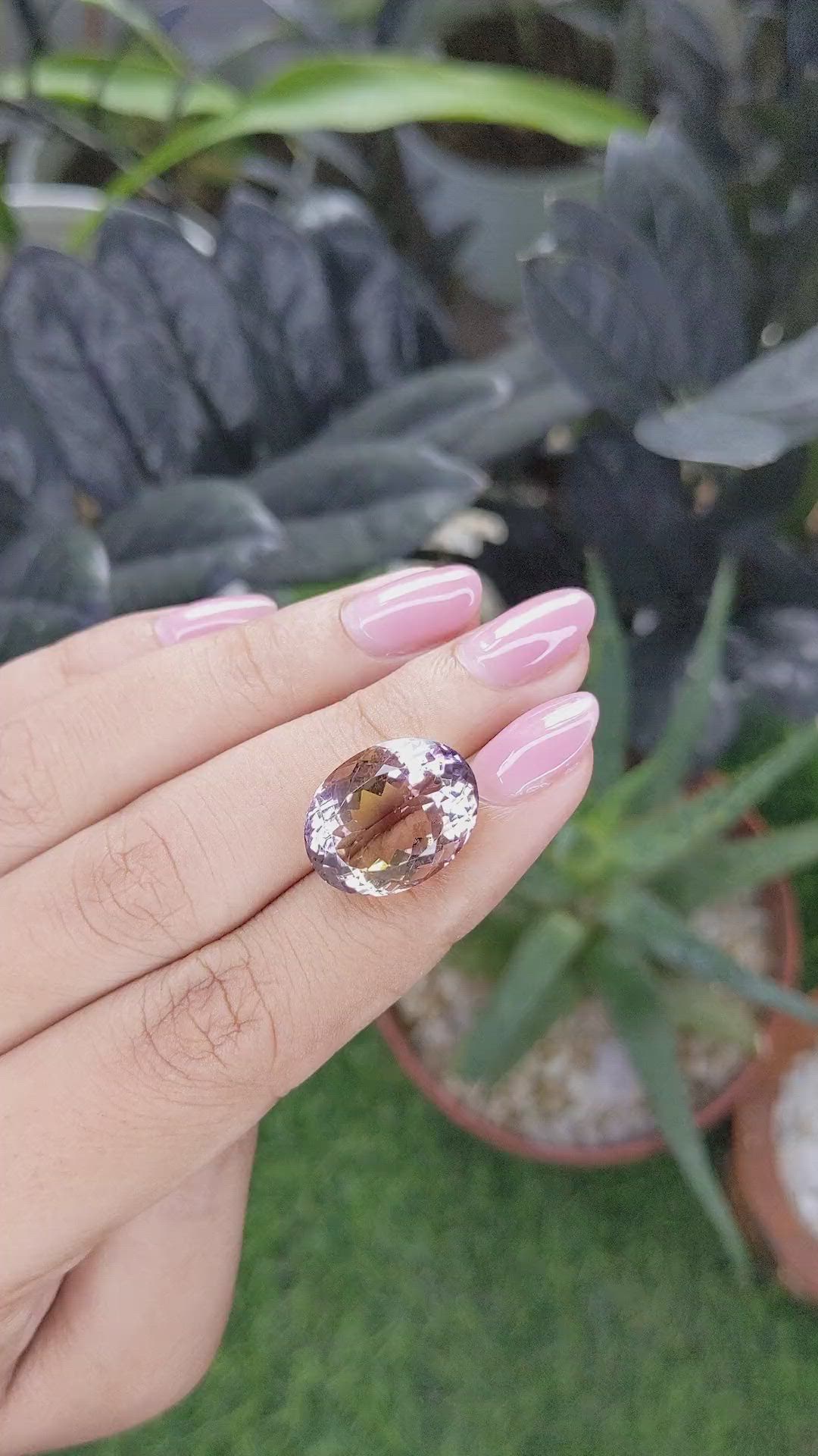 12.10 Ct. Bi Color Ametrine from Ceylon (Sri Lanka) Size Video