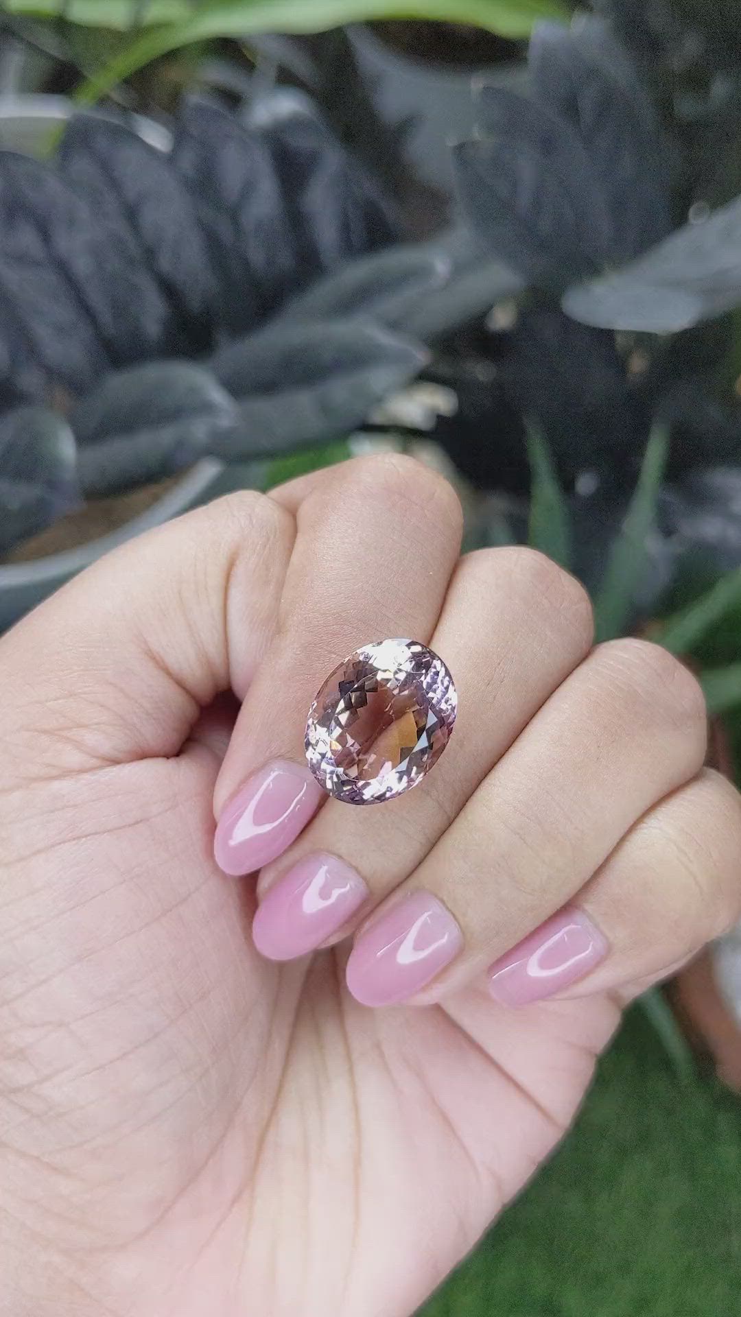12.10 Ct. Bi Color Ametrine from Ceylon (Sri Lanka) Size Video