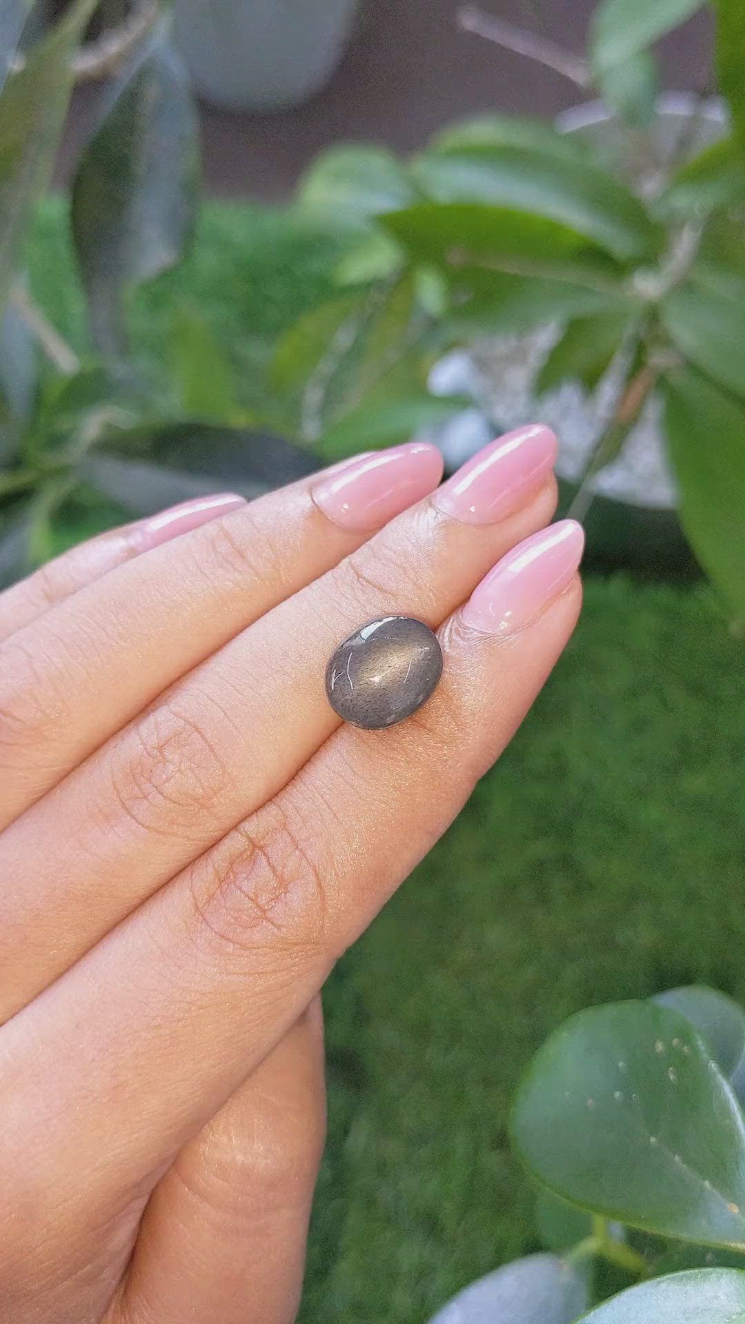 6.72 Ct. Grey Cabochon Moonstone from Ceylon (Sri Lanka) Size Video