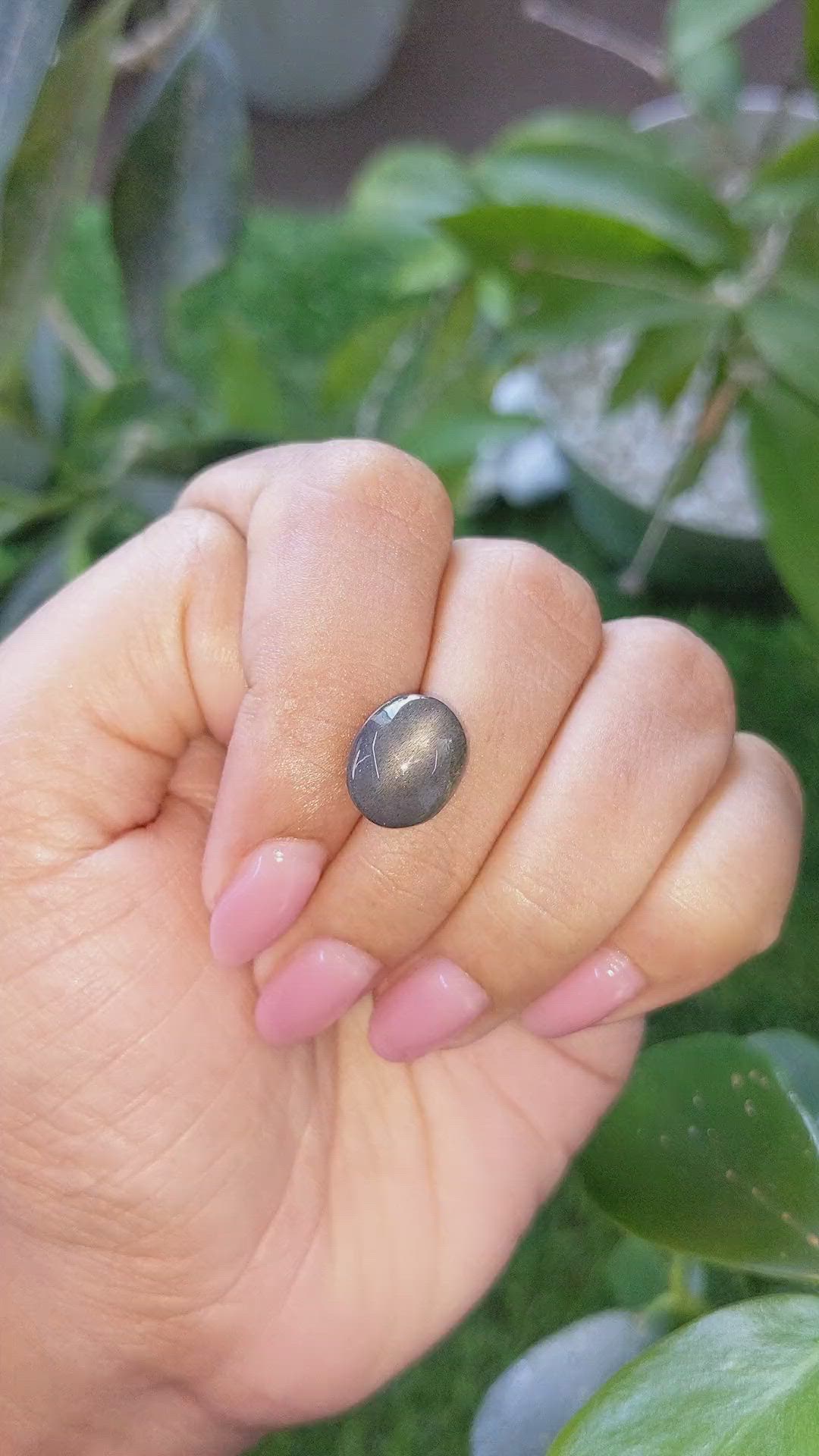 6.72 Ct. Grey Cabochon Moonstone from Ceylon (Sri Lanka) Size Video