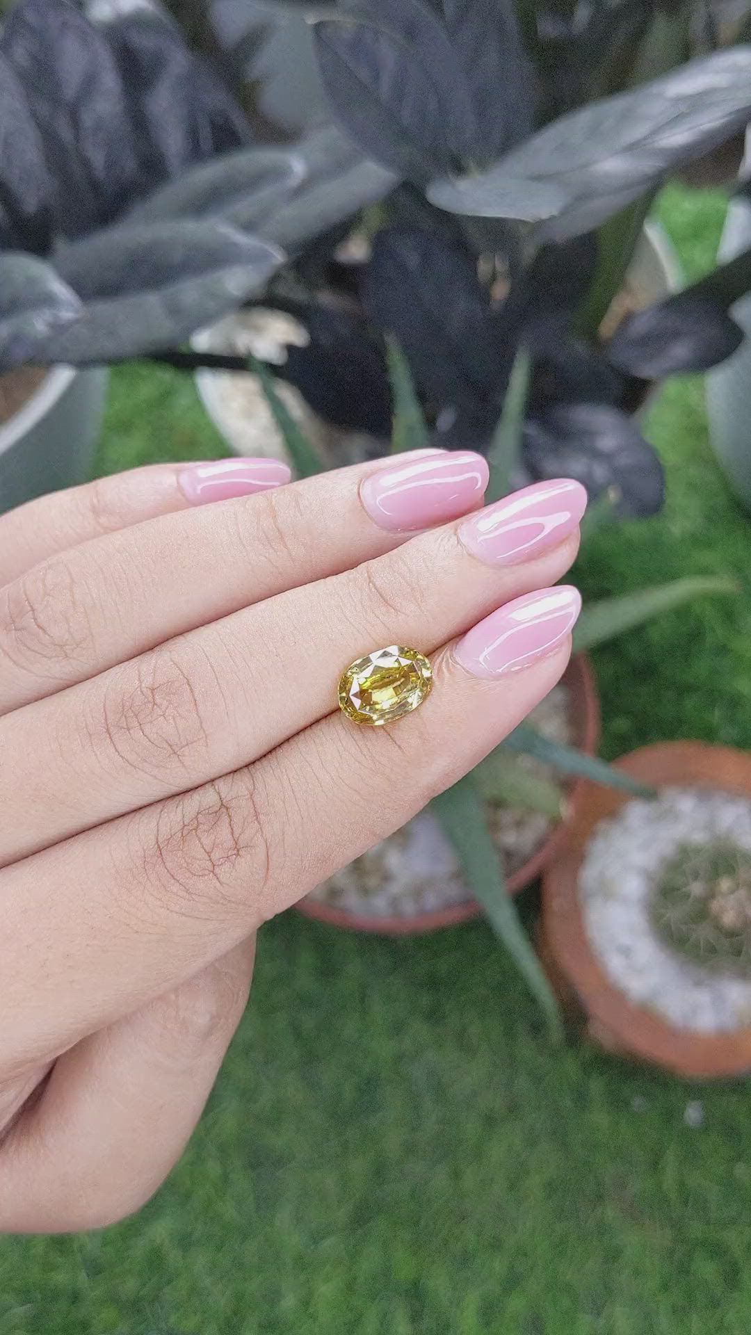 3.49 Ct. Brownish Yellow Zircon from Ceylon (Sri Lanka) Size Video