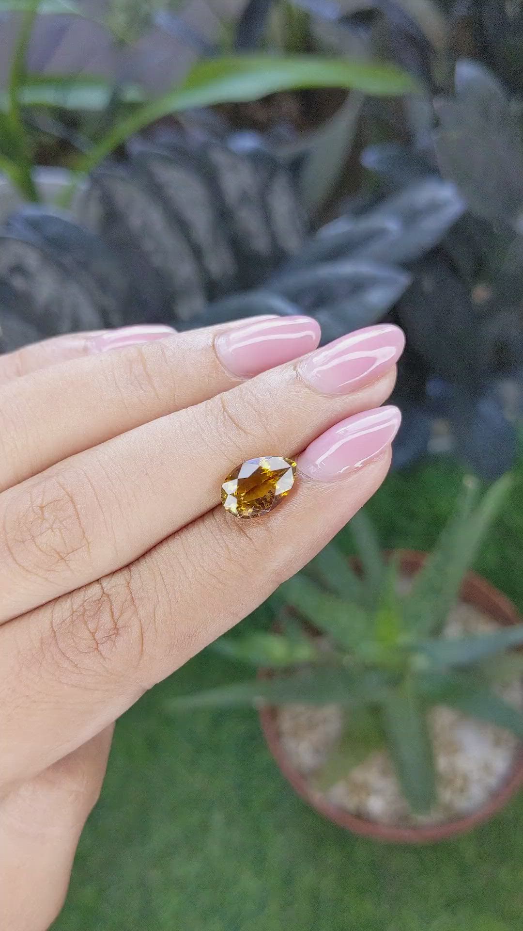 2.23 Ct. Orangish Brown Tourmaline from Ceylon (Sri Lanka) Size Video