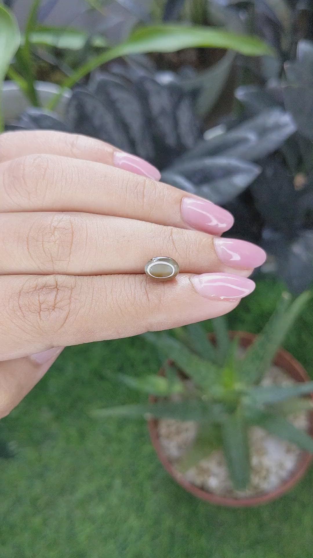 2.06 Ct. Brown Cabochon Cat’s Eye Chrysoberyl from Ceylon (Sri Lanka) Size Video