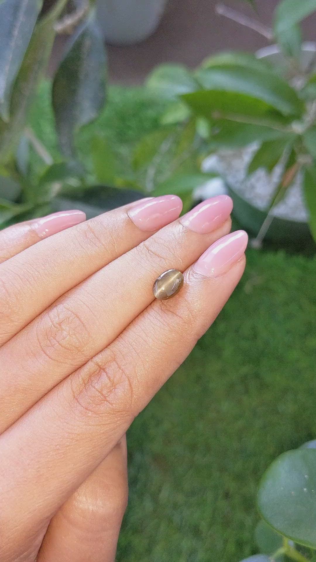 2.06 Ct. Brown Cabochon Cat’s Eye Chrysoberyl from Ceylon (Sri Lanka) Size Video