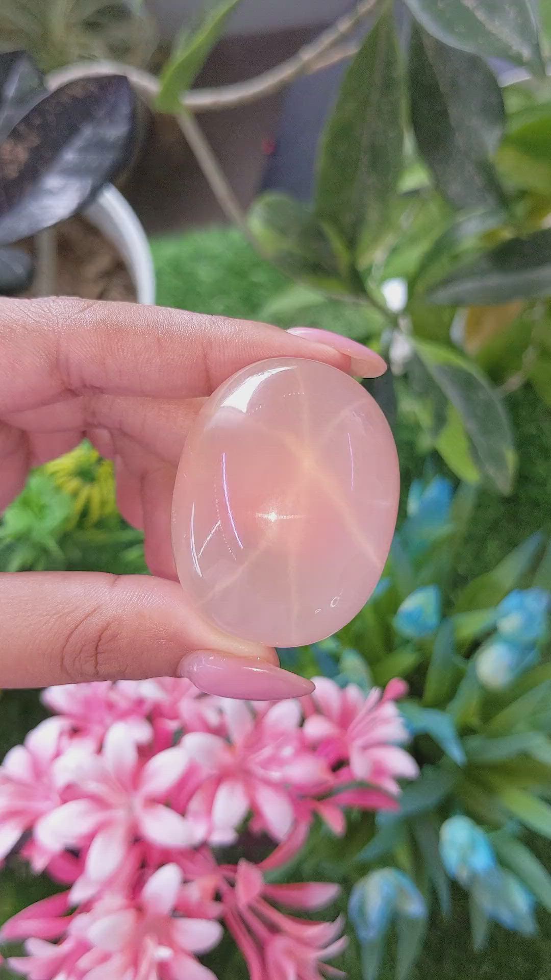 361.04 Ct. Pink Cabochon Star Rose Quartz from Ceylon (Sri Lanka) Size Video