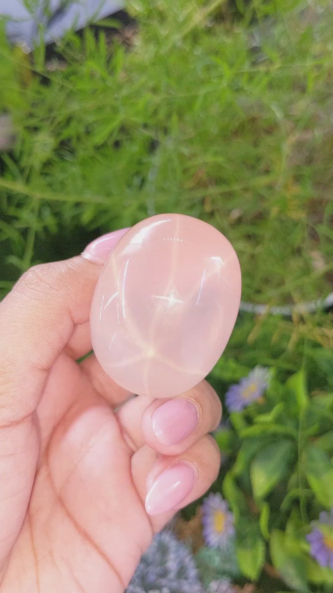 361.04 Ct. Pink Cabochon Star Rose Quartz from Ceylon (Sri Lanka) Size Video