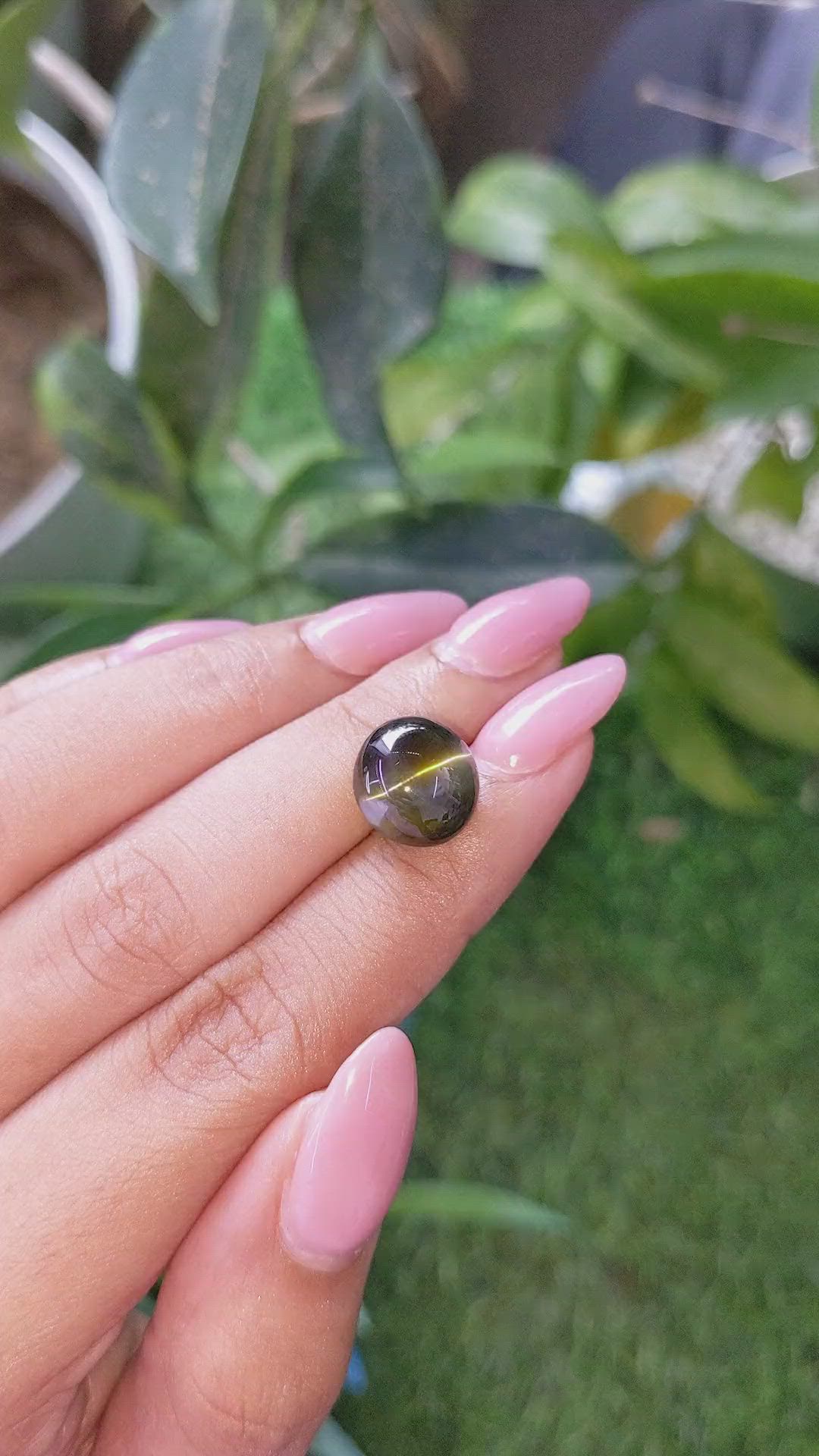 12.67 Ct. Yellowish Green Cabochon Cat’s Eye Chrysoberyl from Ceylon (Sri Lanka) Size Video