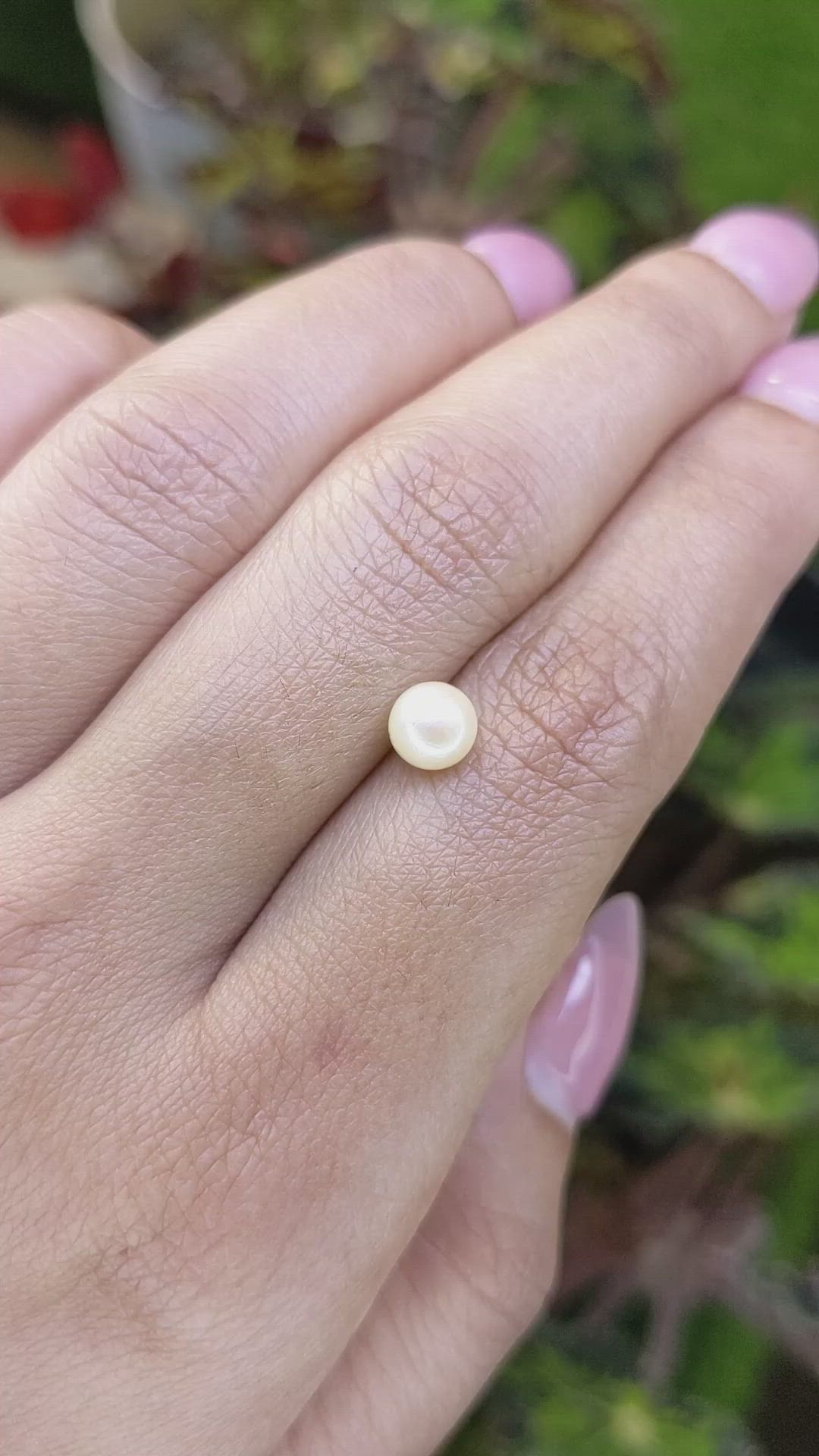 1.29 Ct. Cream Edison Pearl from China Size Video