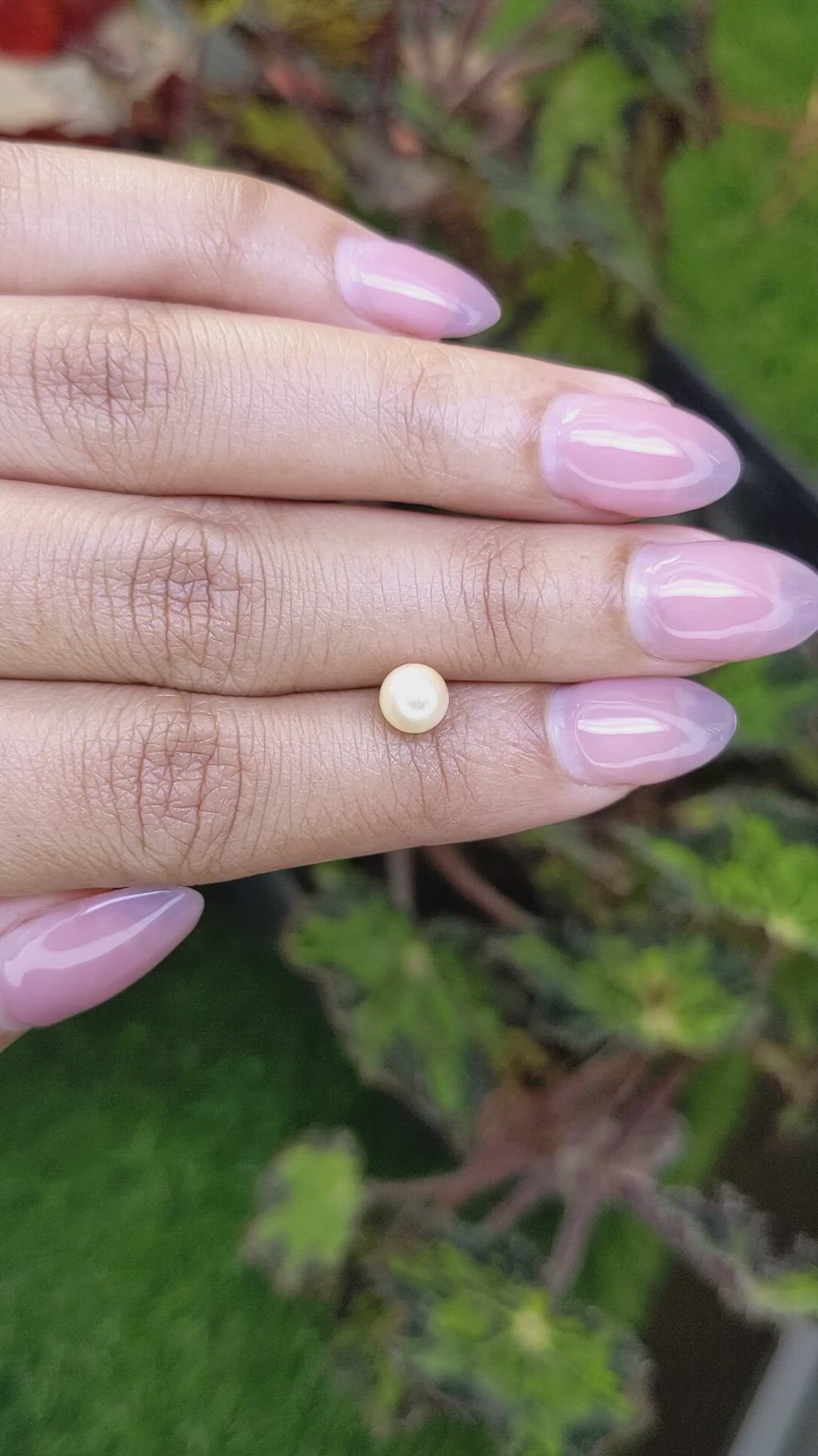 1.29 Ct. Cream Edison Pearl from China Size Video