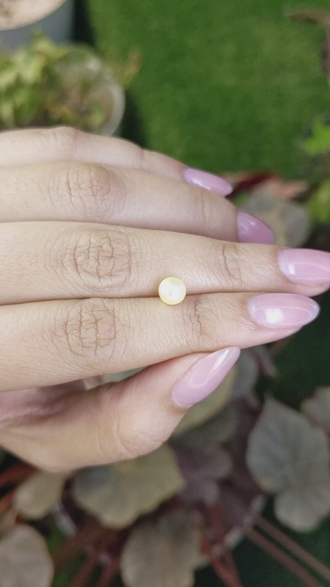 1.30 Ct. Cream Edison Pearl from China Size Video