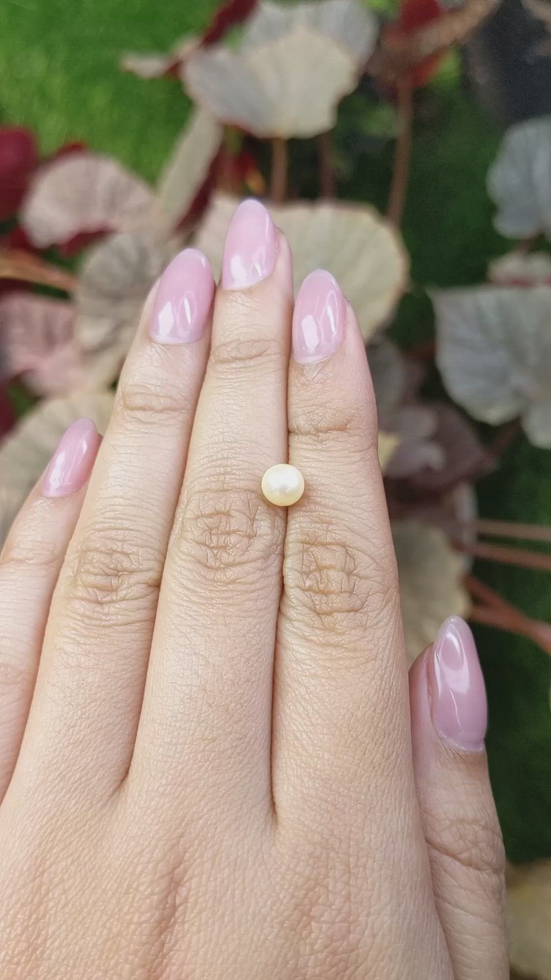 1.30 Ct. Cream Edison Pearl from China Size Video