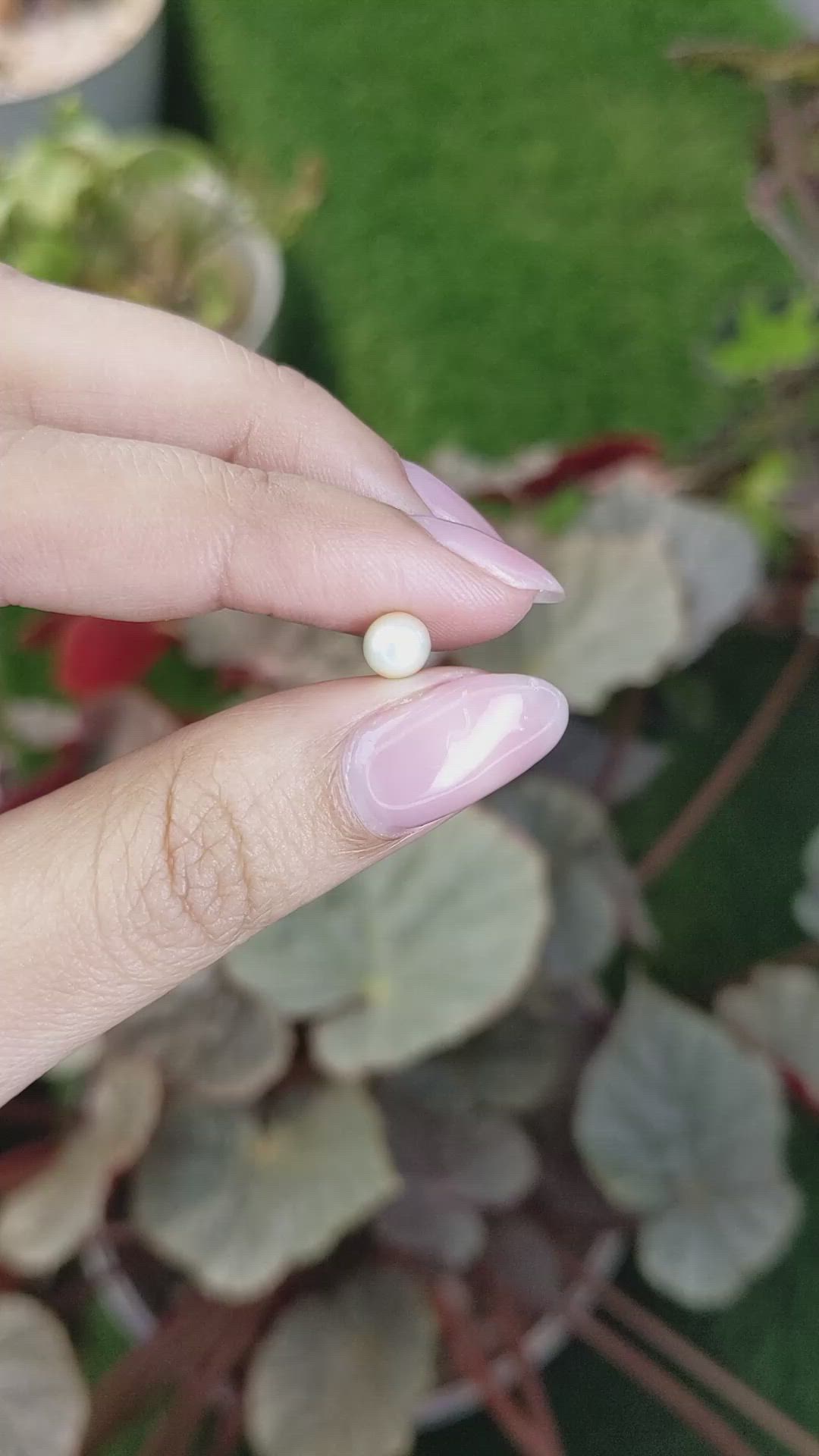 1.10 Ct. Cream with Silver Overtone Akoya Pearl from China Size Video