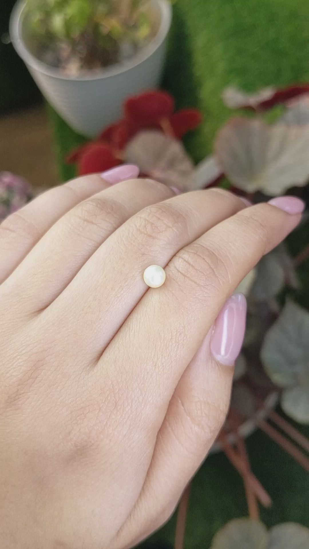 1.10 Ct. Cream with Silver Overtone Akoya Pearl from China Size Video