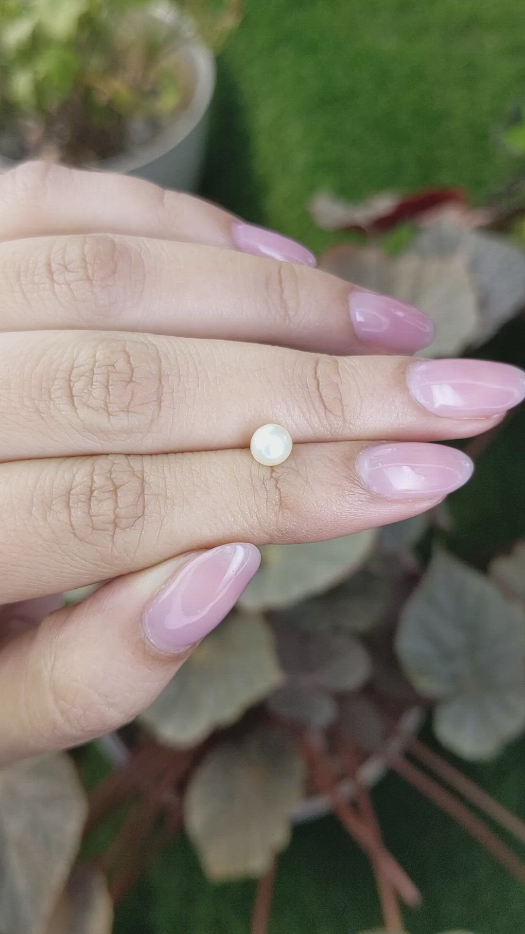 1.10 Ct. Cream with Silver Overtone Akoya Pearl from China Size Video