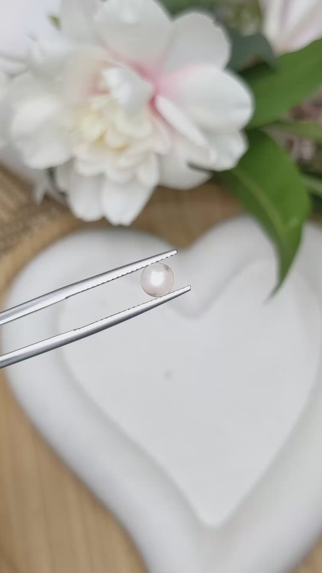 1.24 Ct. Cream with Silver Overtone Akoya Pearl from China Size Video