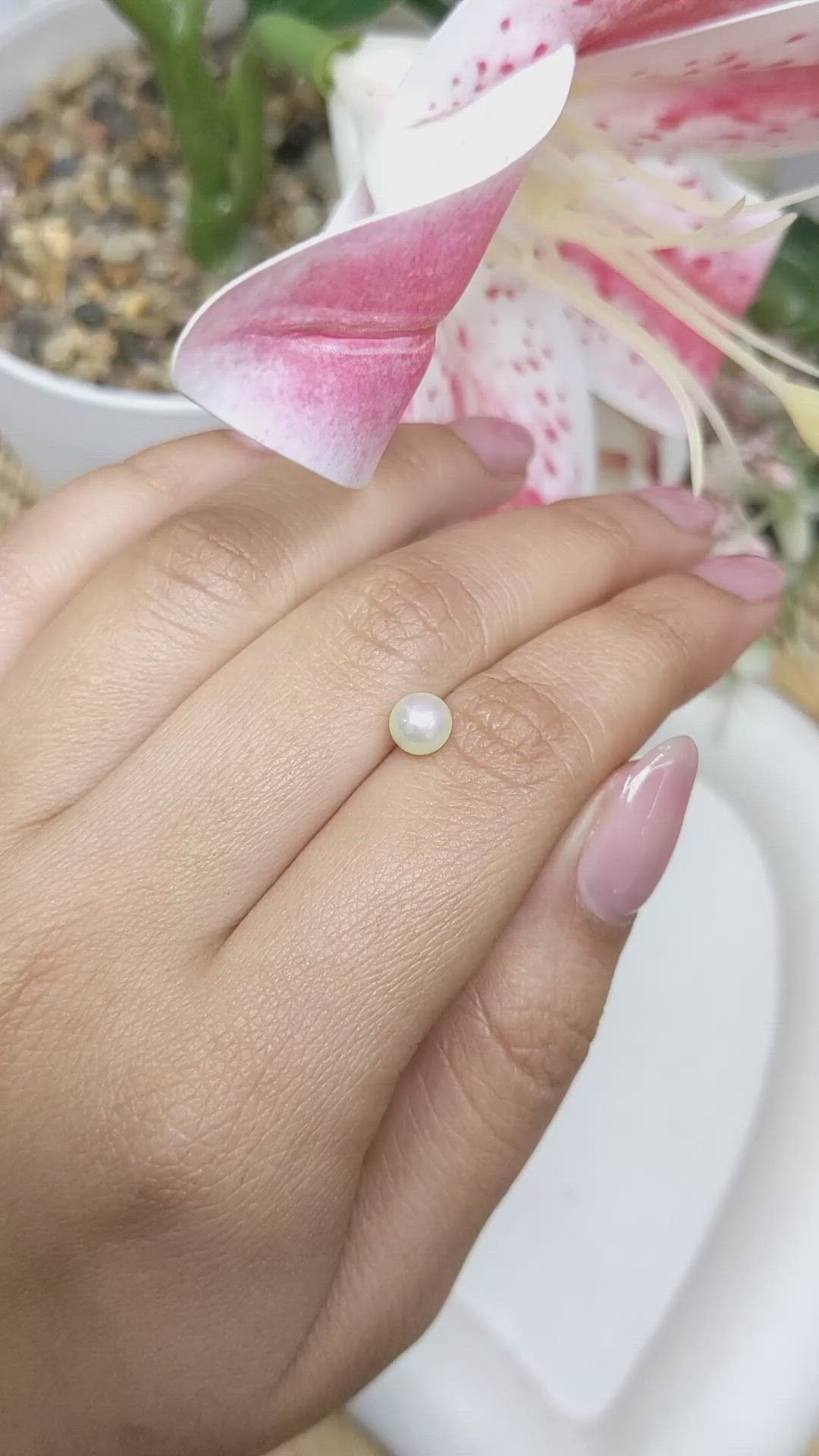 1.24 Ct. Cream with Silver Overtone Akoya Pearl from China Size Video