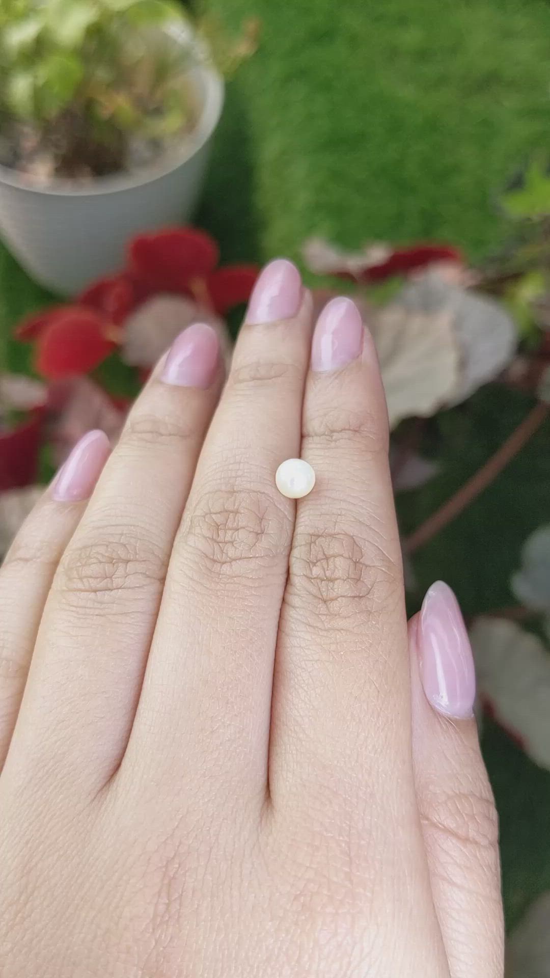 1.20 Ct. Cream with Silver Overtone Akoya Pearl from China Size Video