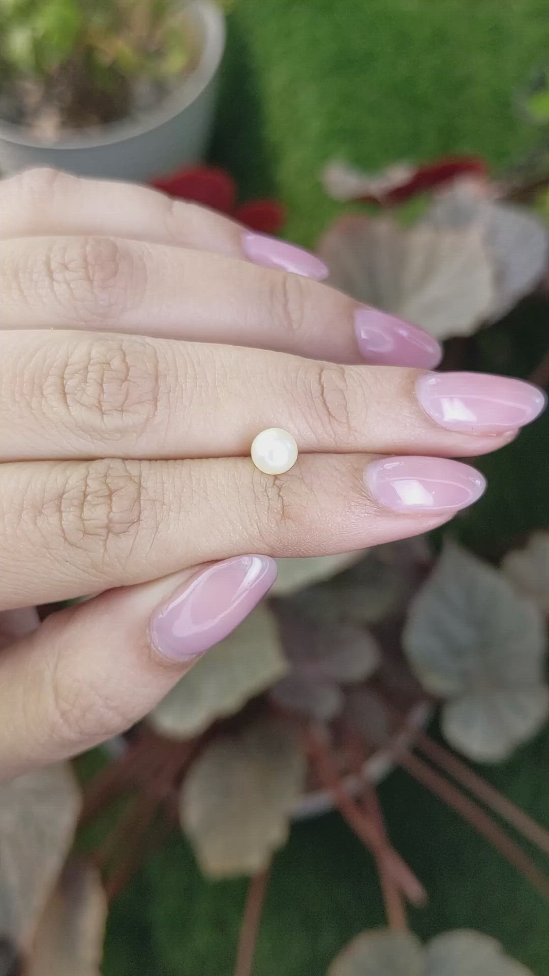 1.34 Ct. Cream with Silver Overtone Akoya Pearl from China Size Video