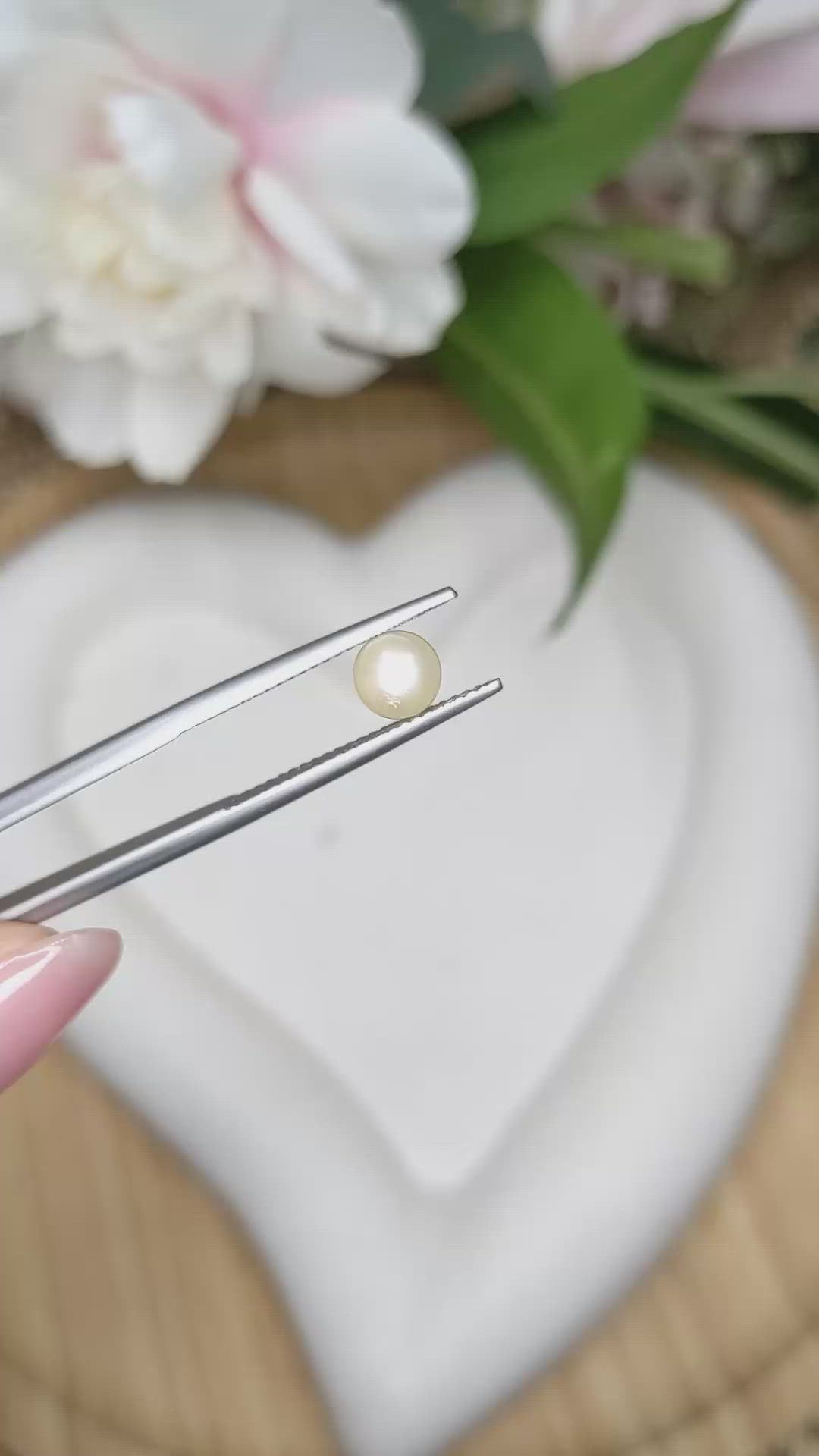 1.34 Ct. Cream with Silver Overtone Akoya Pearl from China Size Video