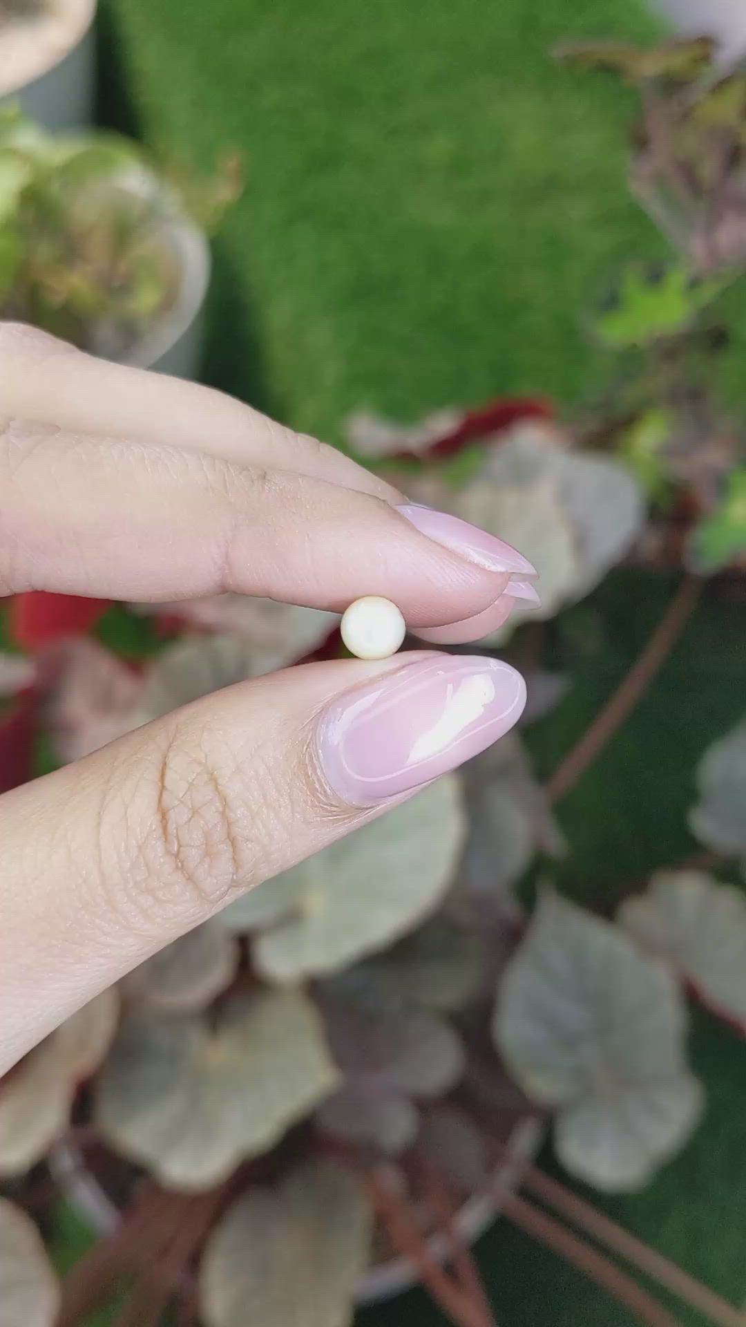 1.34 Ct. Cream with Silver Overtone Akoya Pearl from China Size Video