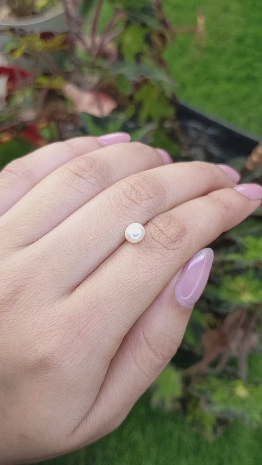 1.28 Ct. Cream with Silver Overtone Akoya Pearl from China Size Video