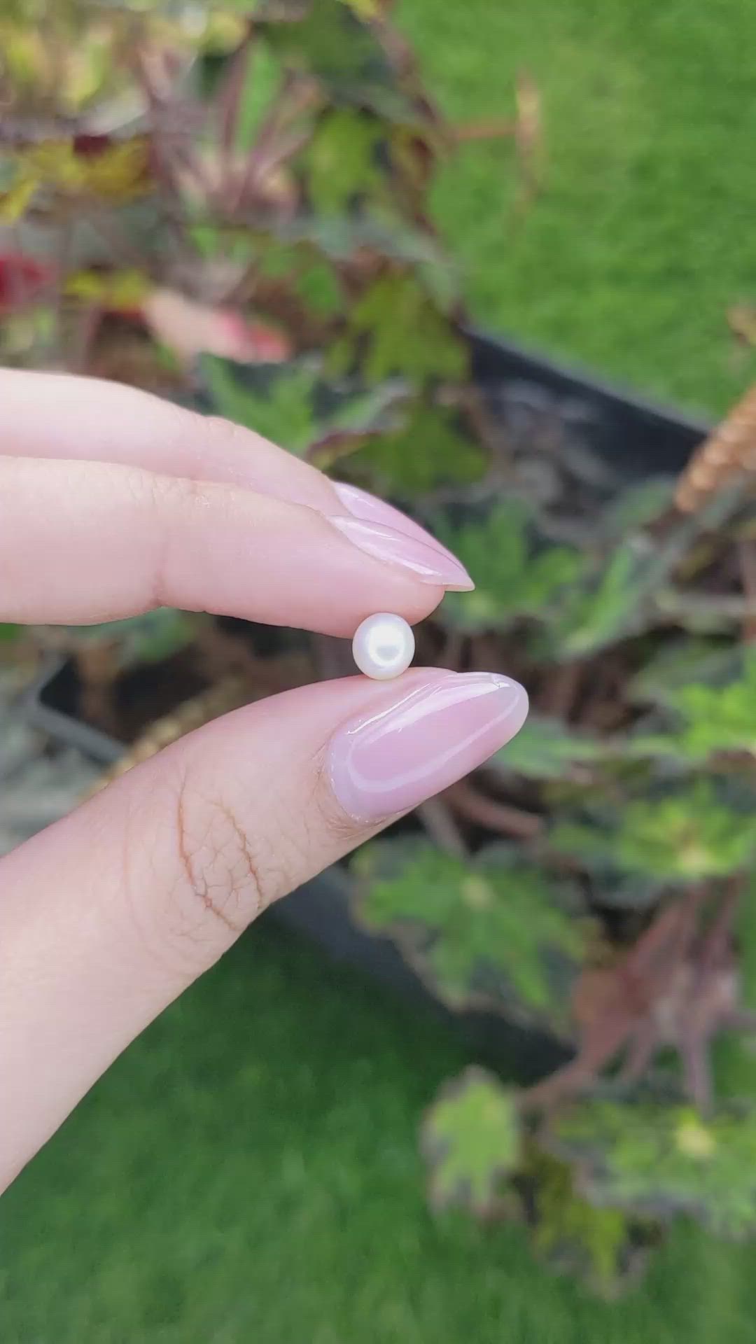 1.28 Ct. Cream with Silver Overtone Akoya Pearl from China Size Video