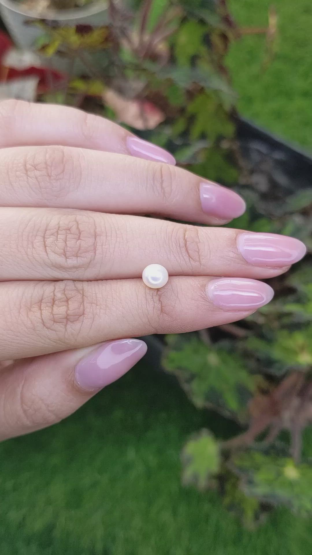 1.28 Ct. Cream with Silver Overtone Akoya Pearl from China Size Video
