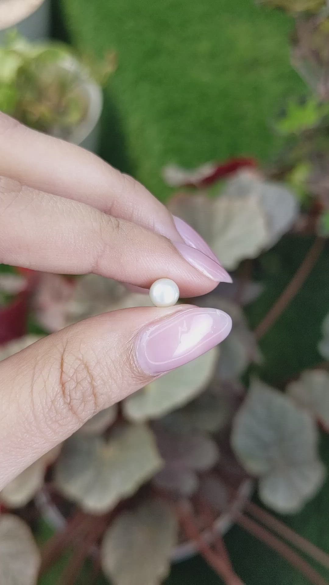 1.24 Ct. Cream with Silver Overtone Akoya Pearl from China Size Video