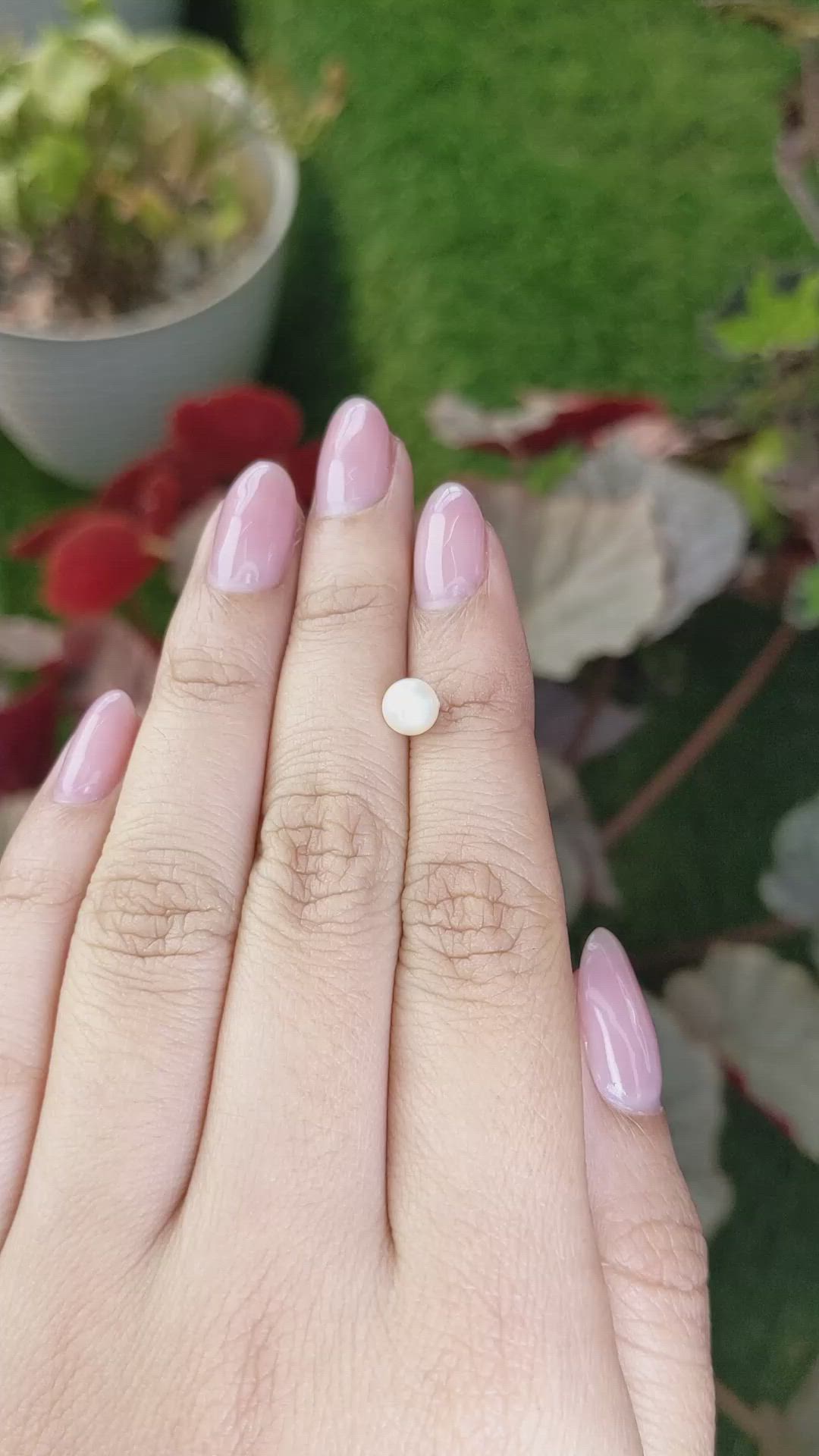 1.24 Ct. Cream with Silver Overtone Akoya Pearl from China Size Video