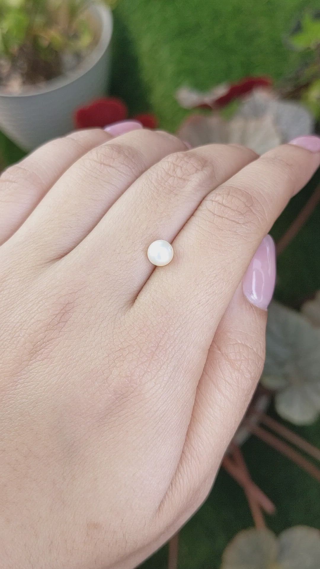 1.24 Ct. Cream with Silver Overtone Akoya Pearl from China Size Video