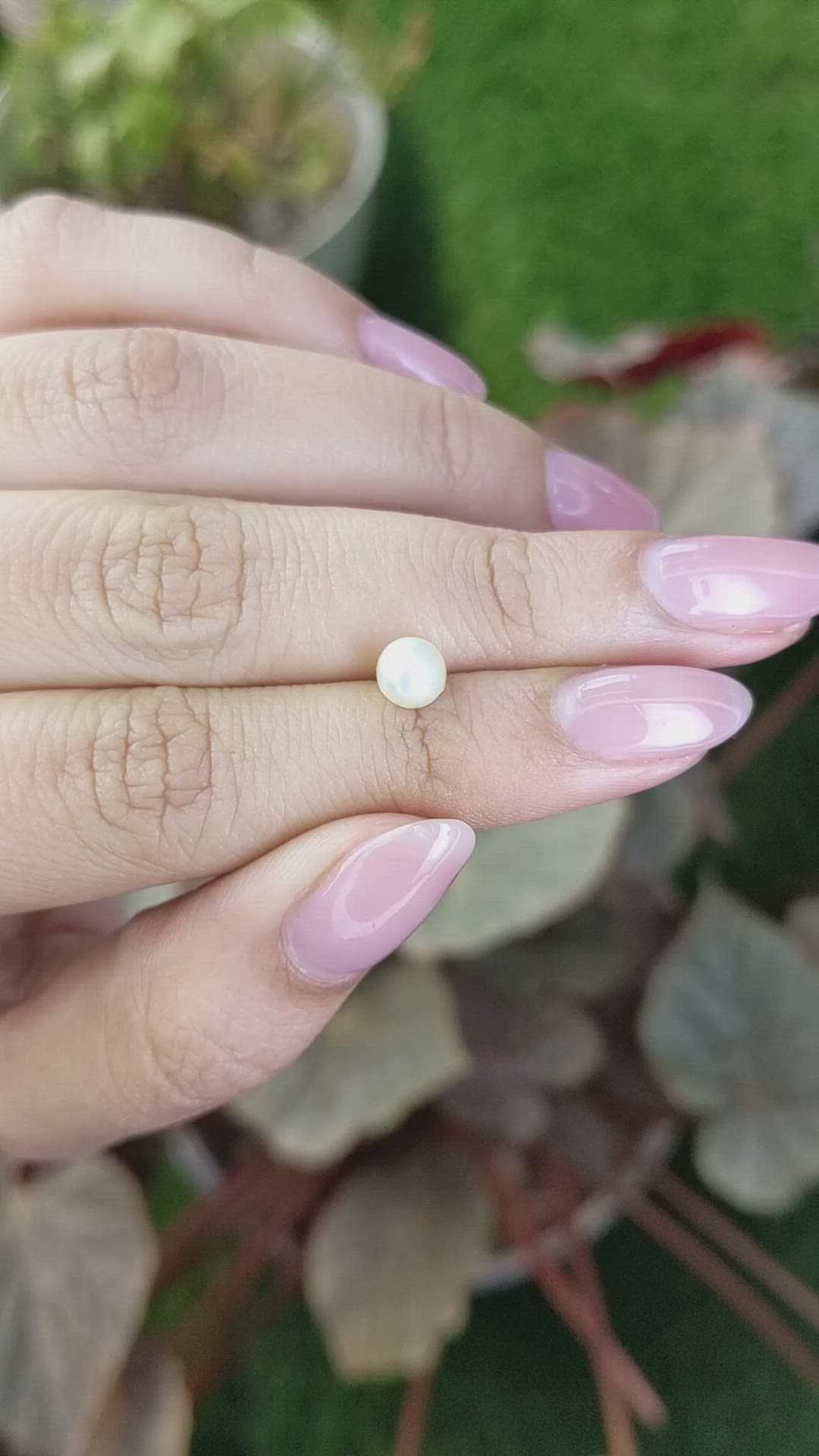 1.24 Ct. Cream with Silver Overtone Akoya Pearl from China Size Video