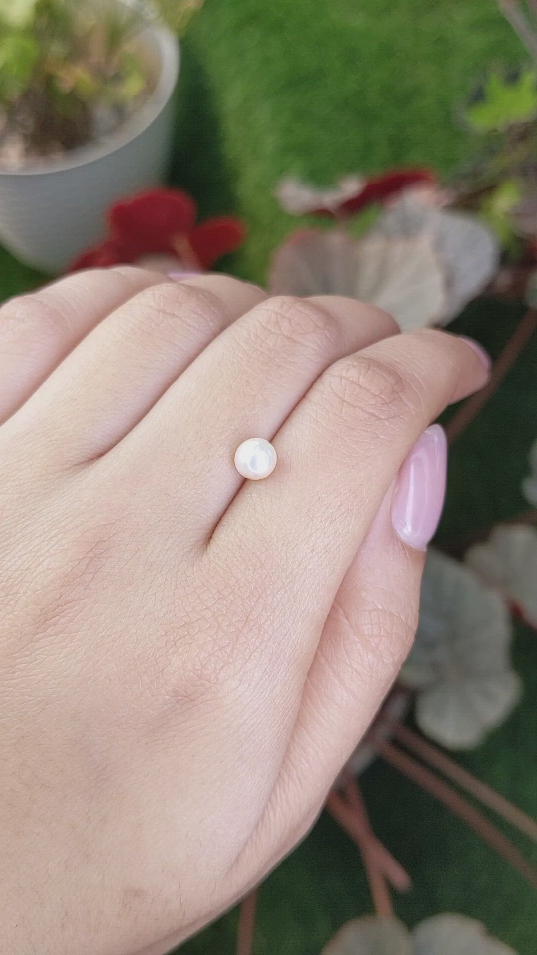 1.31 Ct. Cream with Silver Overtone Akoya Pearl from China Size Video