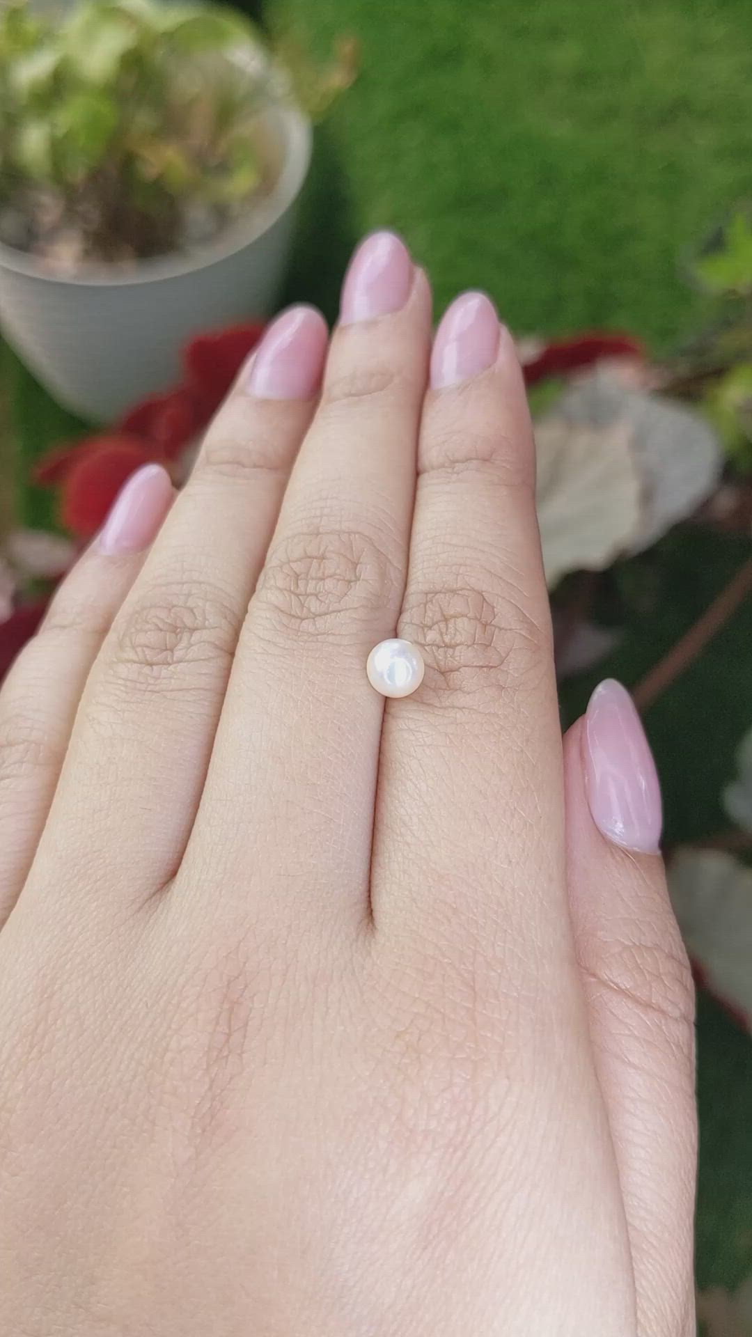 1.31 Ct. Cream with Silver Overtone Akoya Pearl from China Size Video