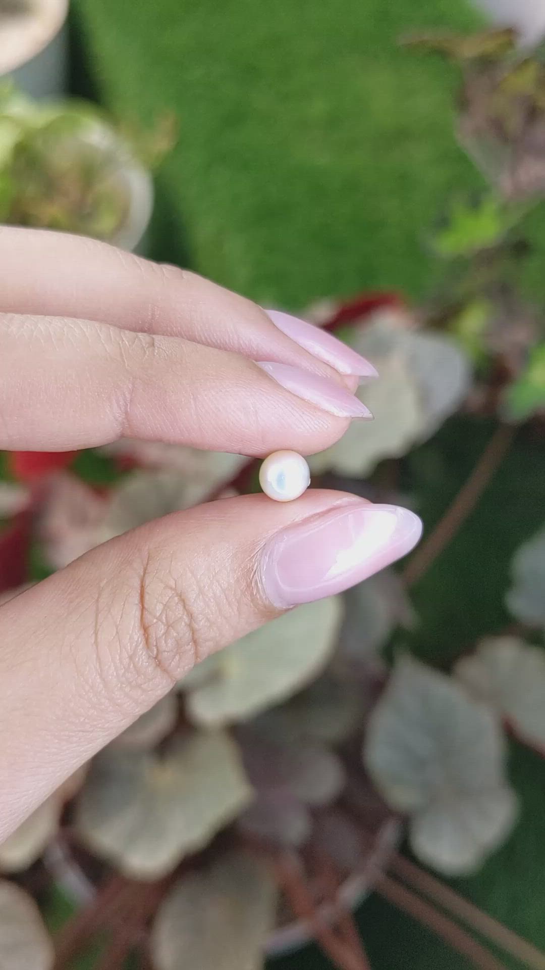 1.31 Ct. Cream with Silver Overtone Akoya Pearl from China Size Video