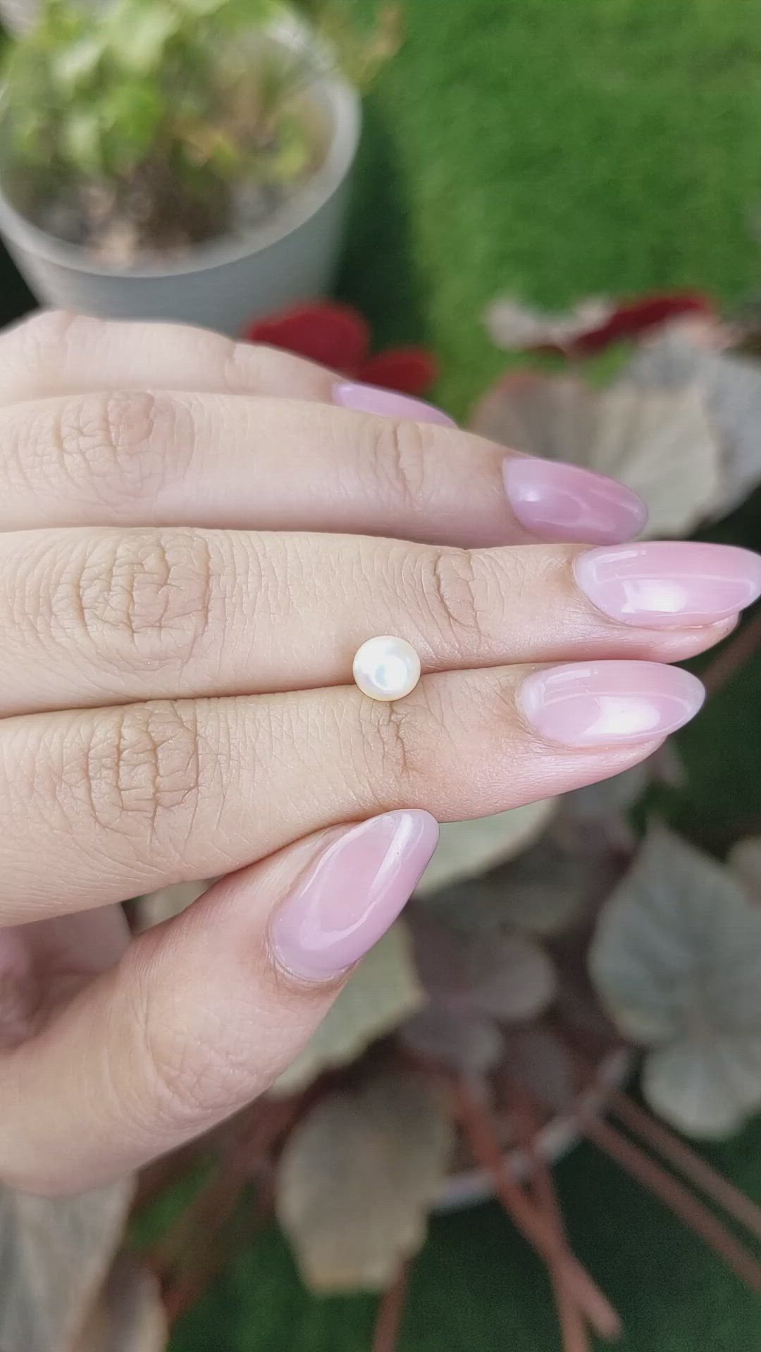 1.31 Ct. Cream with Silver Overtone Akoya Pearl from China Size Video