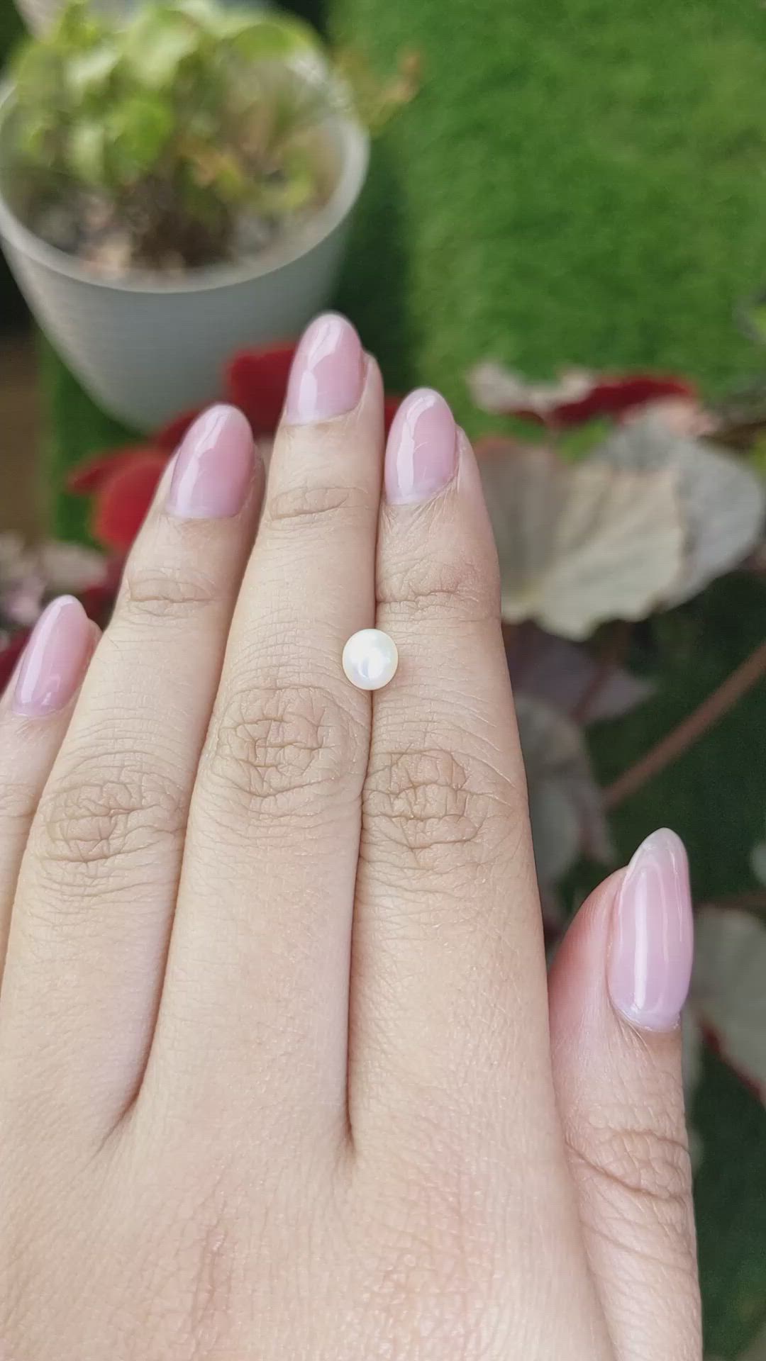 1.22 Ct. Cream with Silver Overtone Akoya Pearl from China Size Video